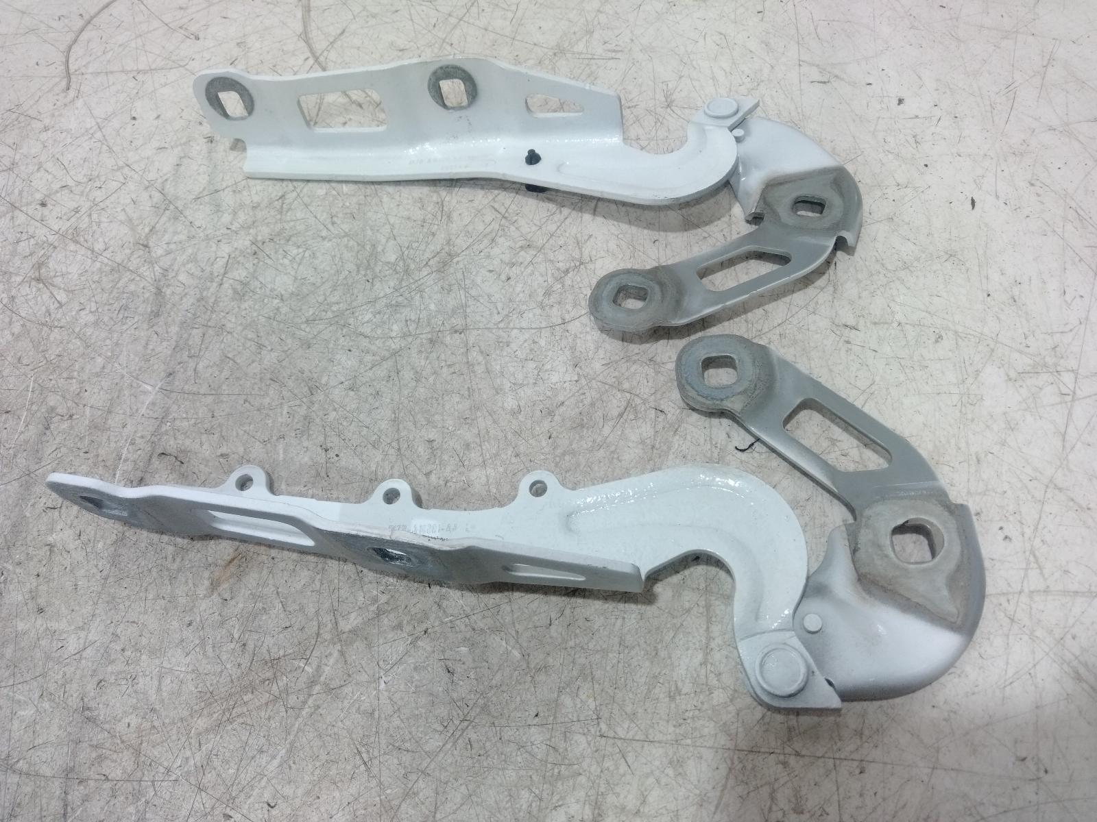 Bonnet Hinge Strut