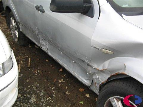 Ford Territory - SX 2004-2005