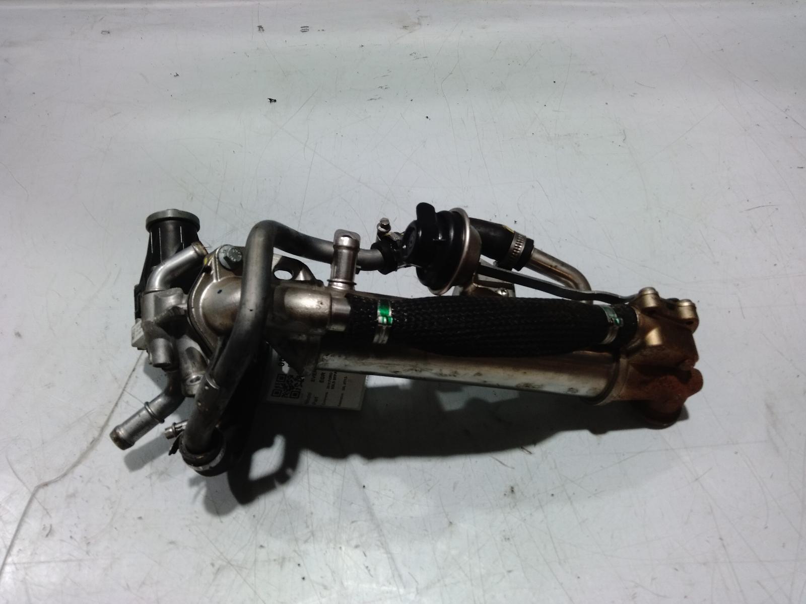 Egr Valve