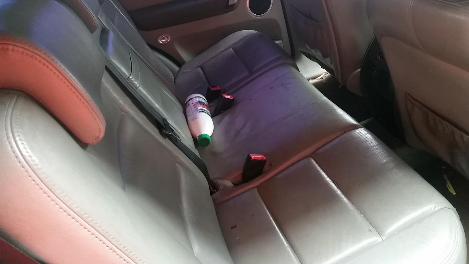 Ford Territory - SX 2004-2005