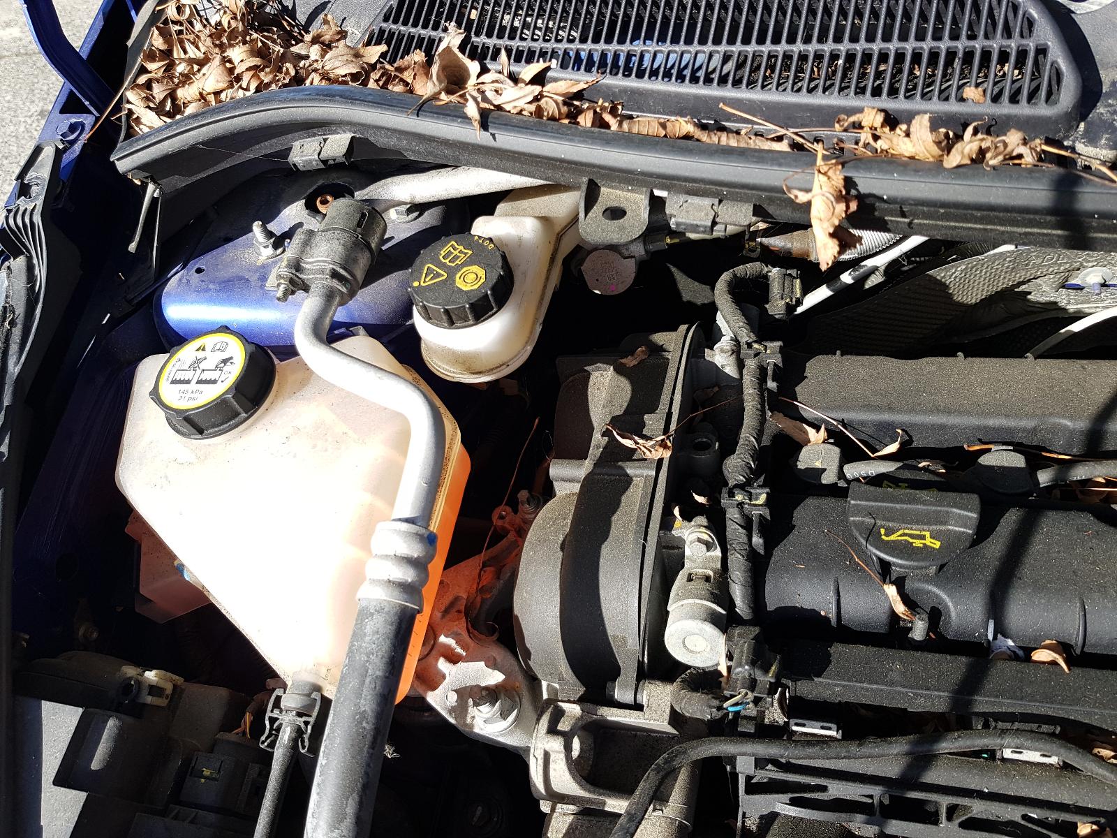 Ford Fiesta - WZ 2013-Present