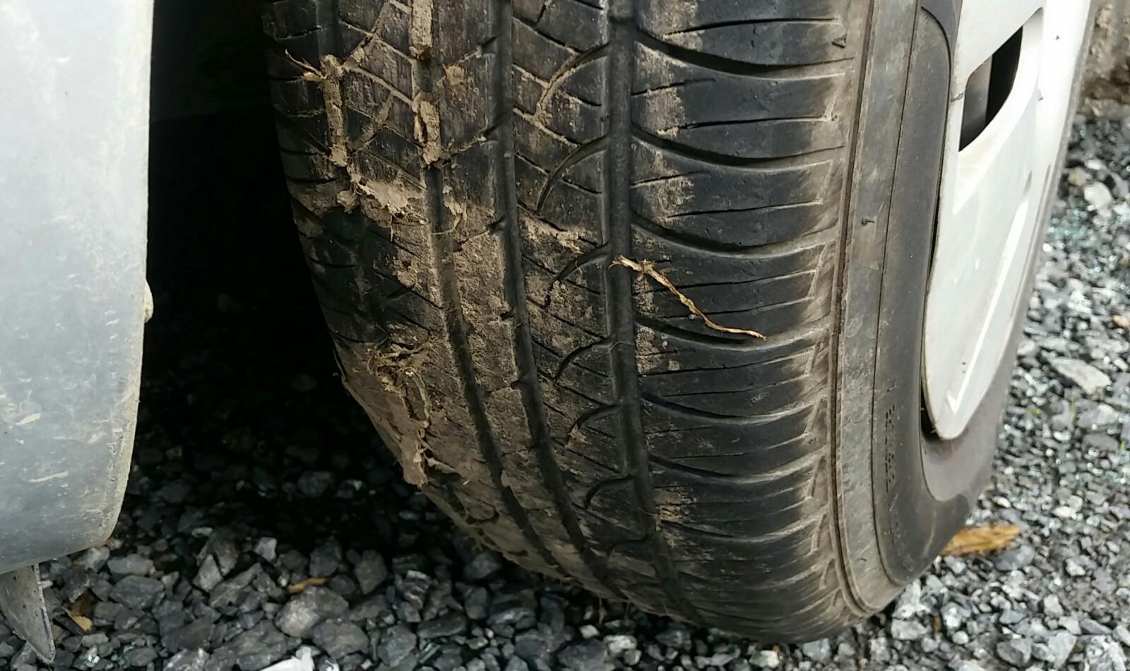 Ford Focus - LT-LV 2008-2011