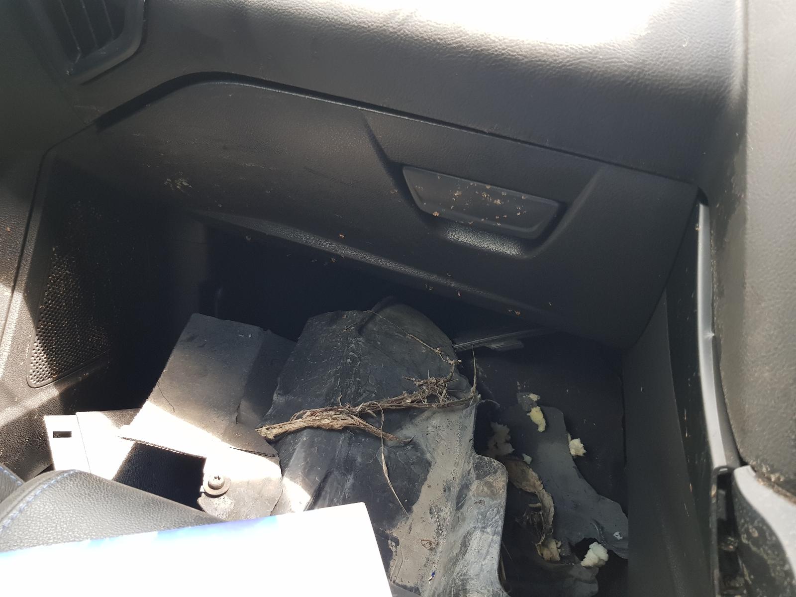 Ford Focus - LZ 2015-2017