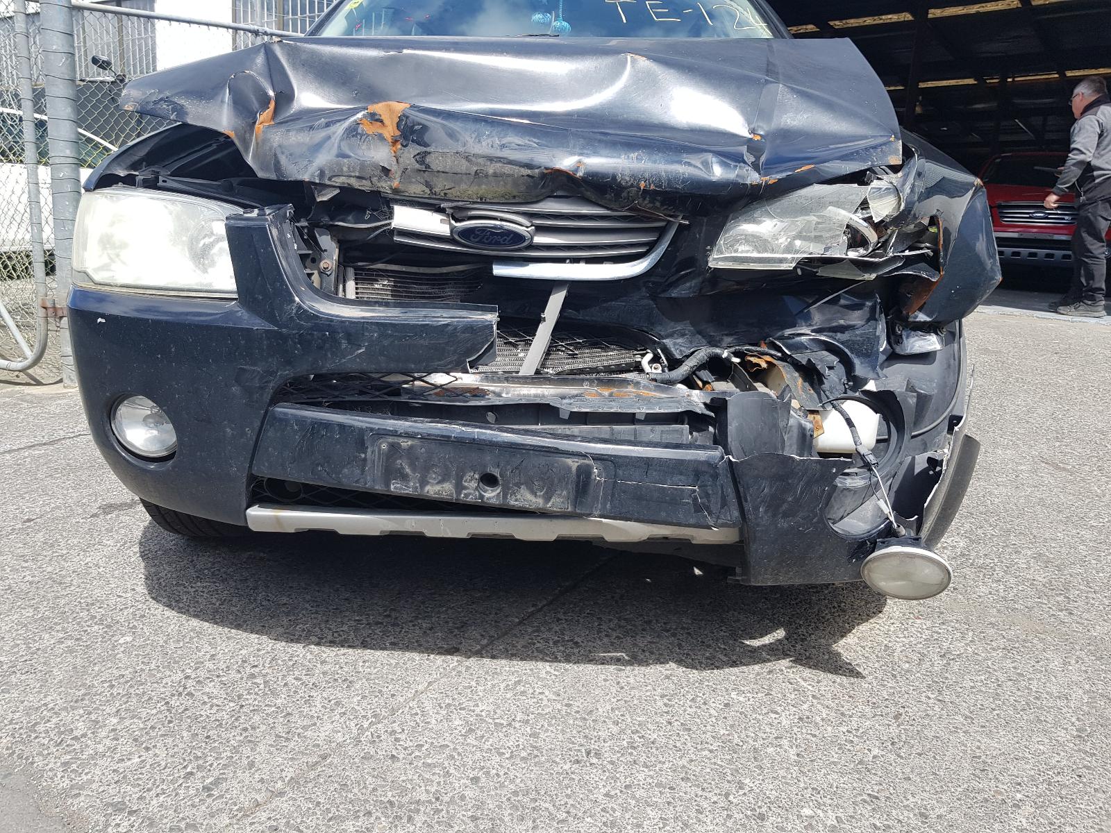 Ford Territory - SX 2004-2005