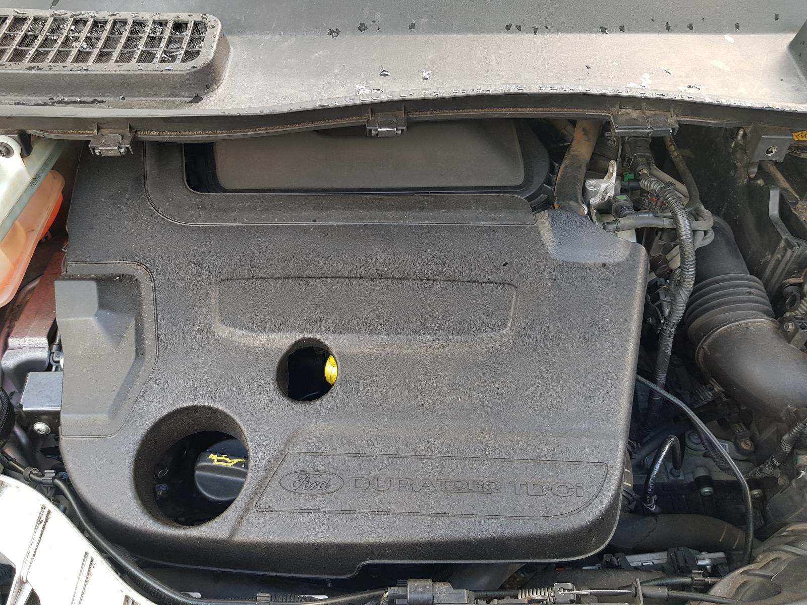 Ford Kuga - TF 2013-Present