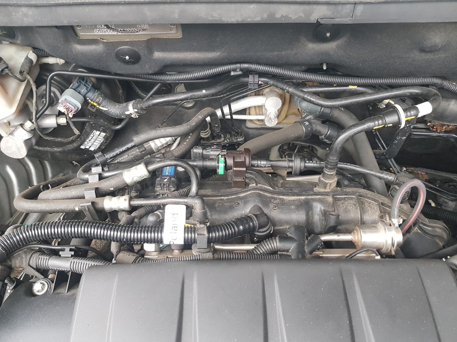 Holden Cruze - 2009-Present