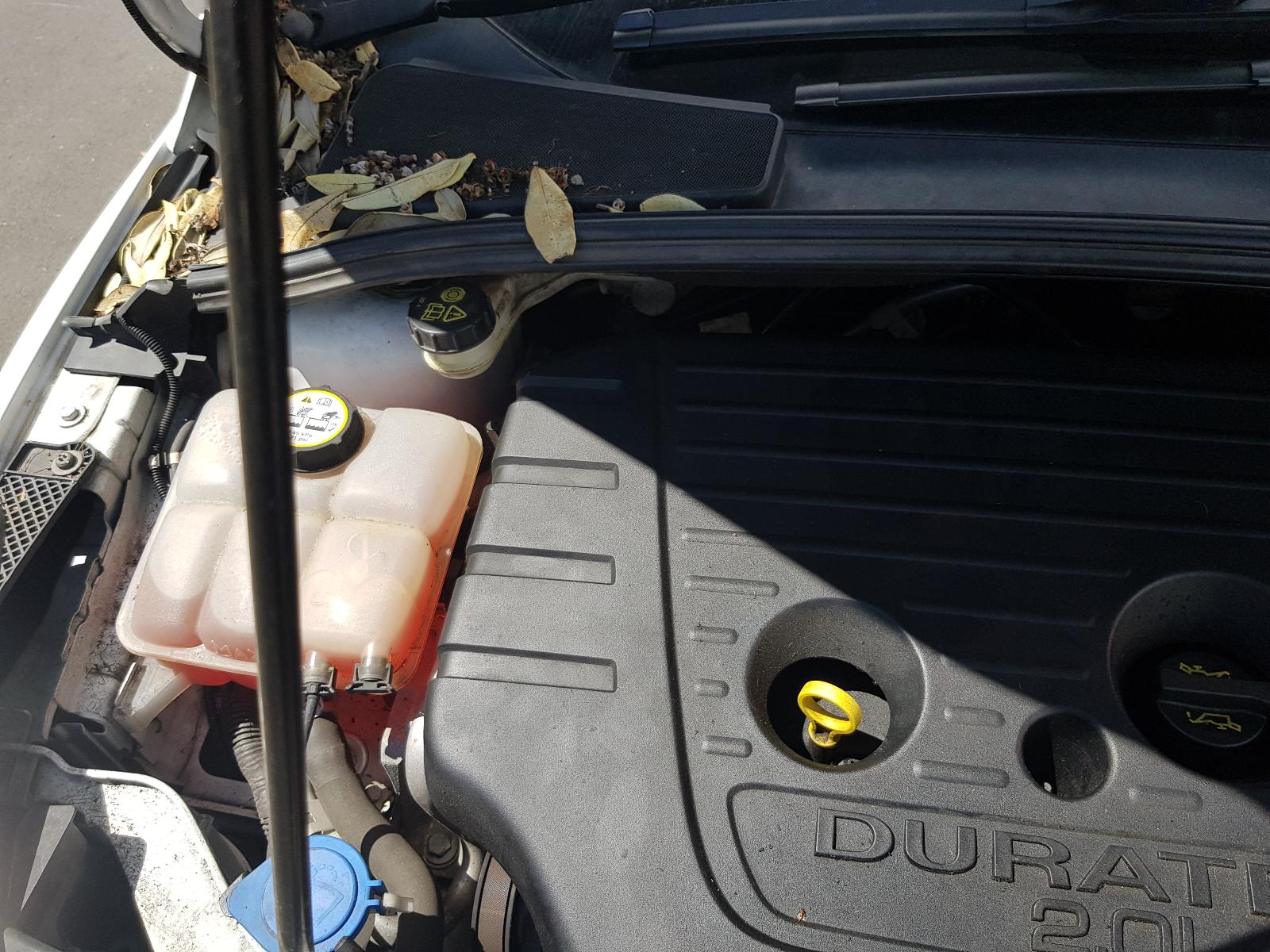 Ford Focus - LW 2011-2015