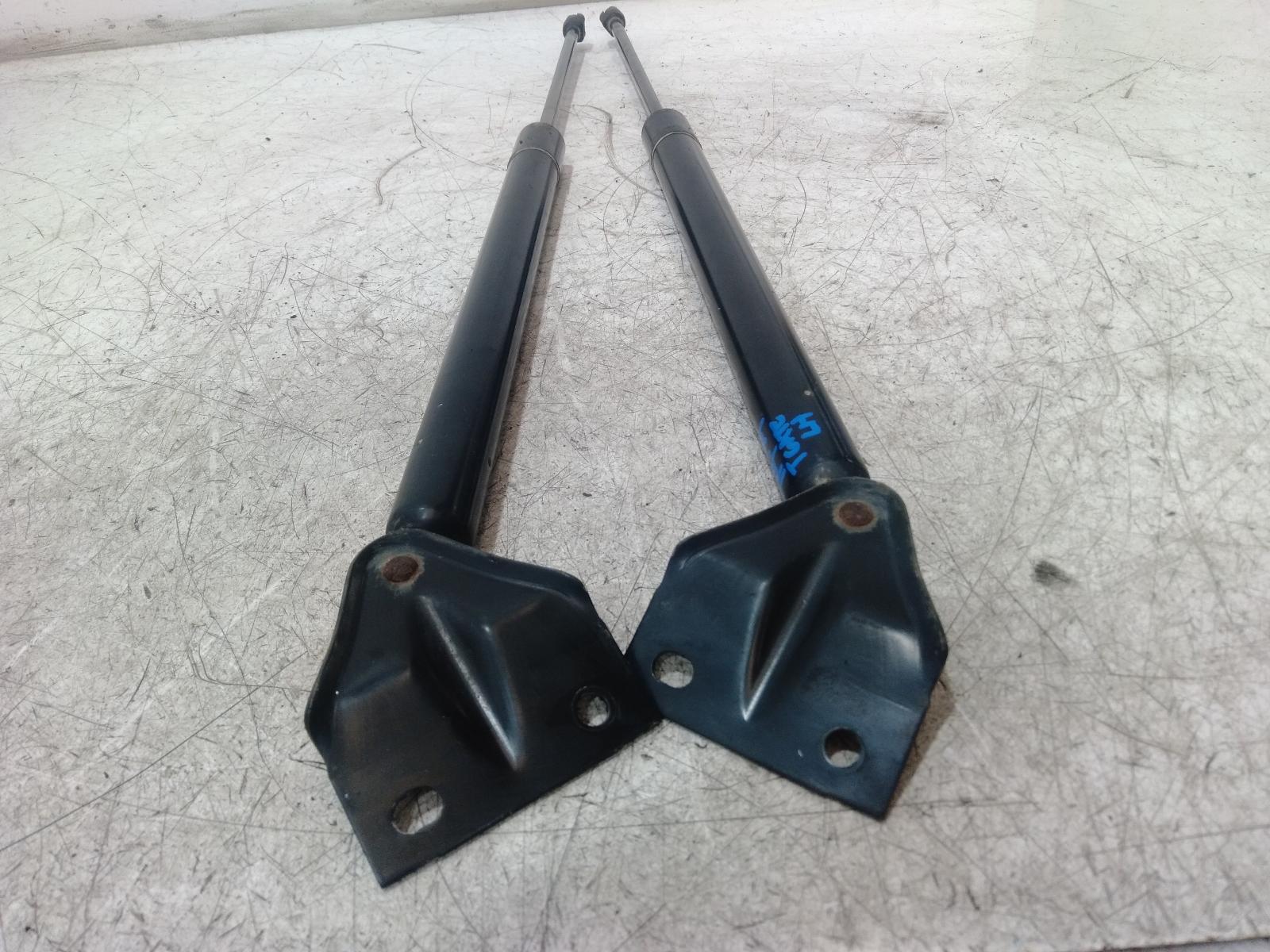 Hatch Strut