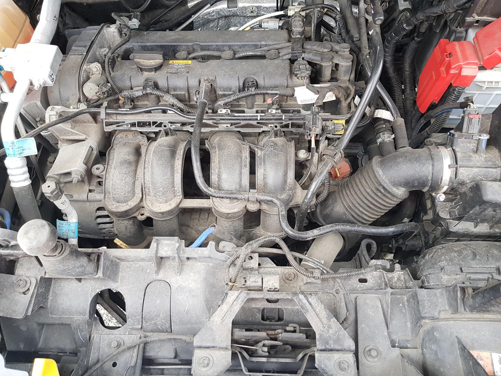 Ford EcoSport - BW 2013-present