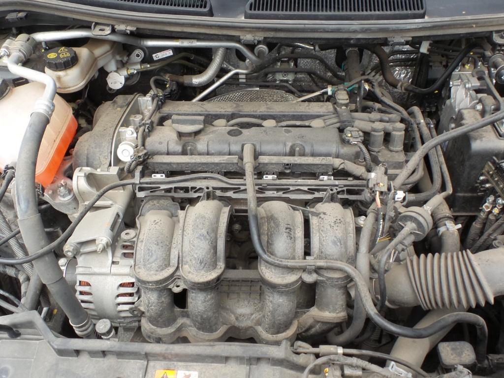 Ford Fiesta - WS 2009-2011