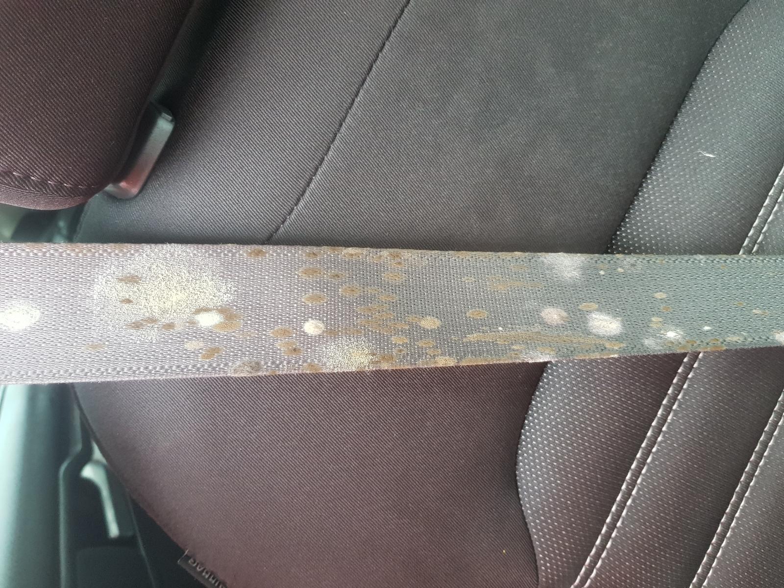 Ford Mondeo - MD 2014-2017