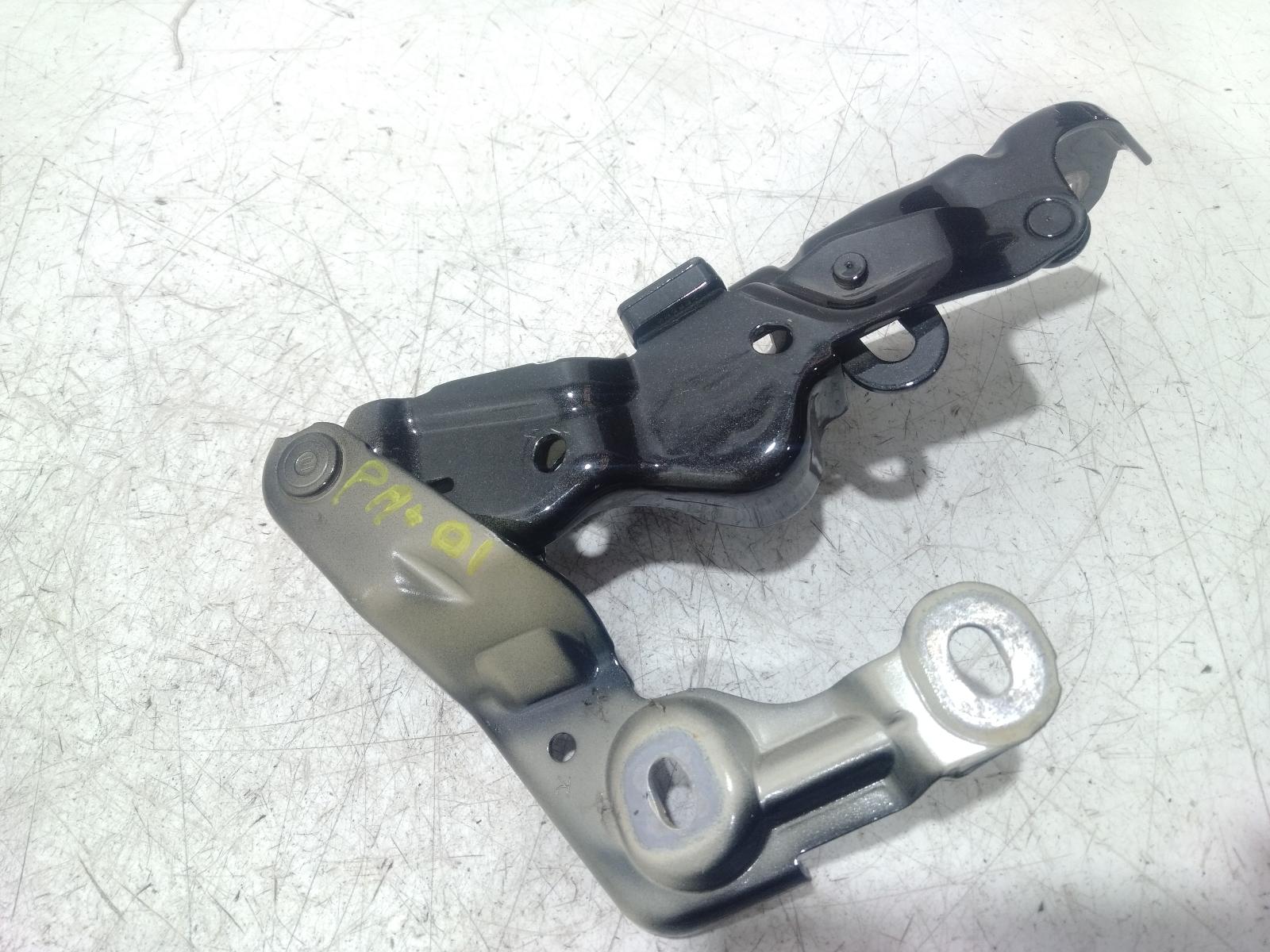 Bonnet_Hinge_Strut