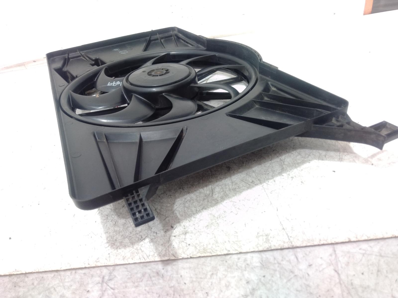 Fan