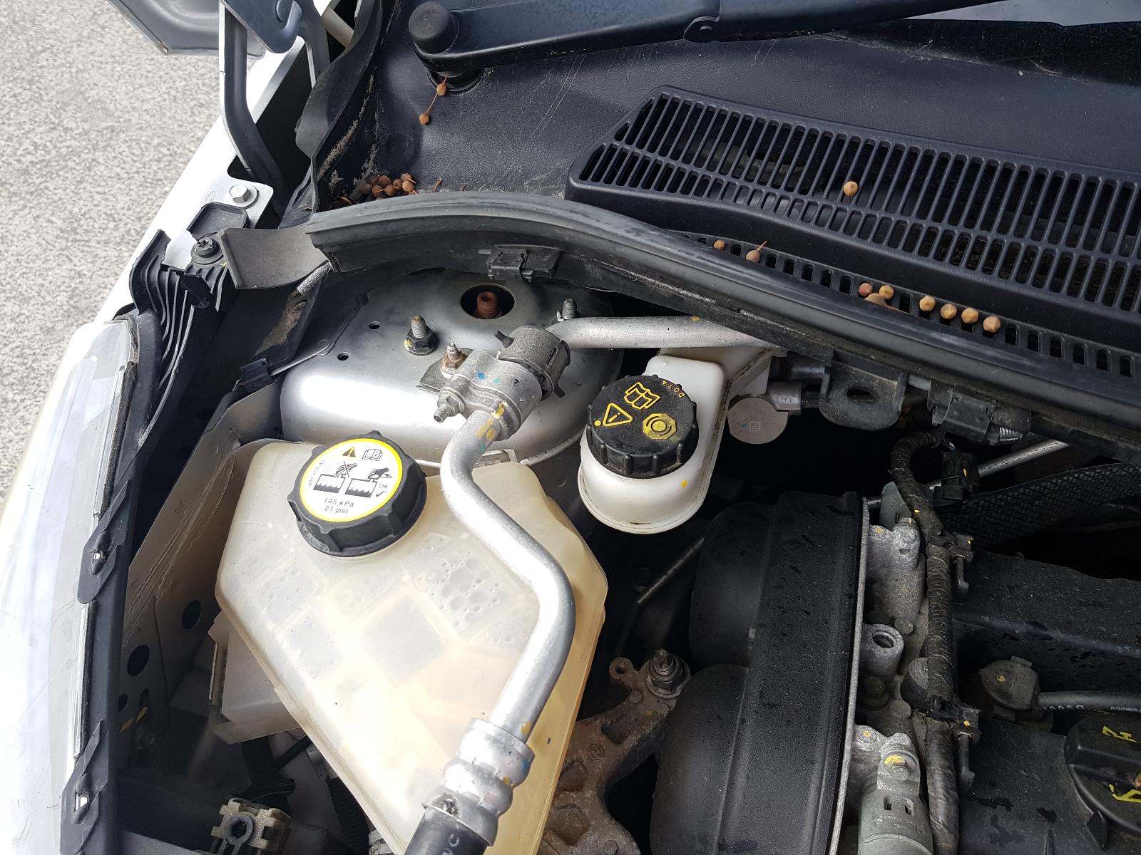 Ford Fiesta - WT 2010-2014