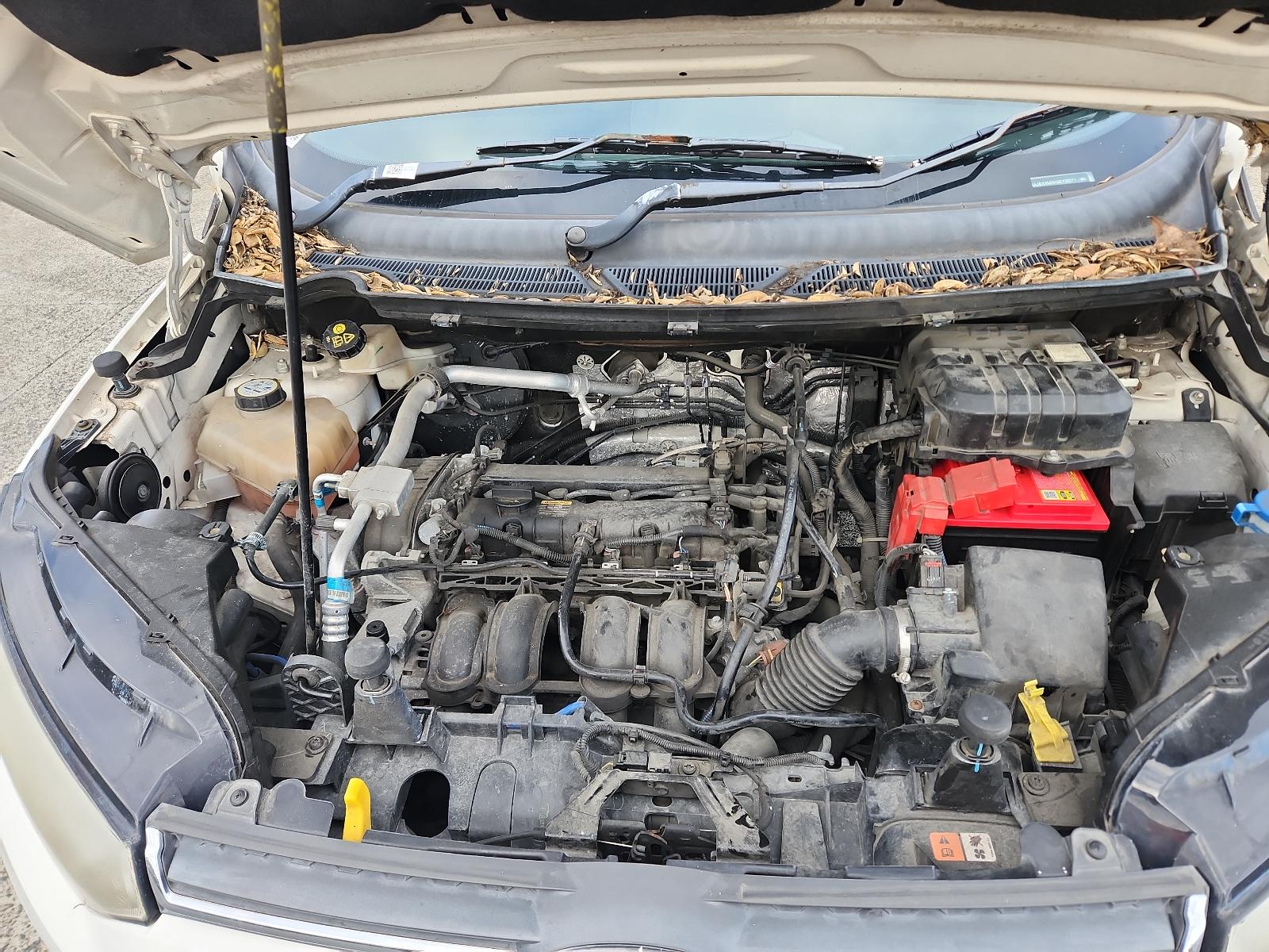 Ford EcoSport - BW 2013-present