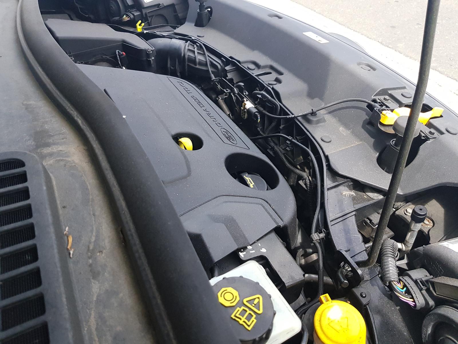 Ford Kuga - TF 2013-Present