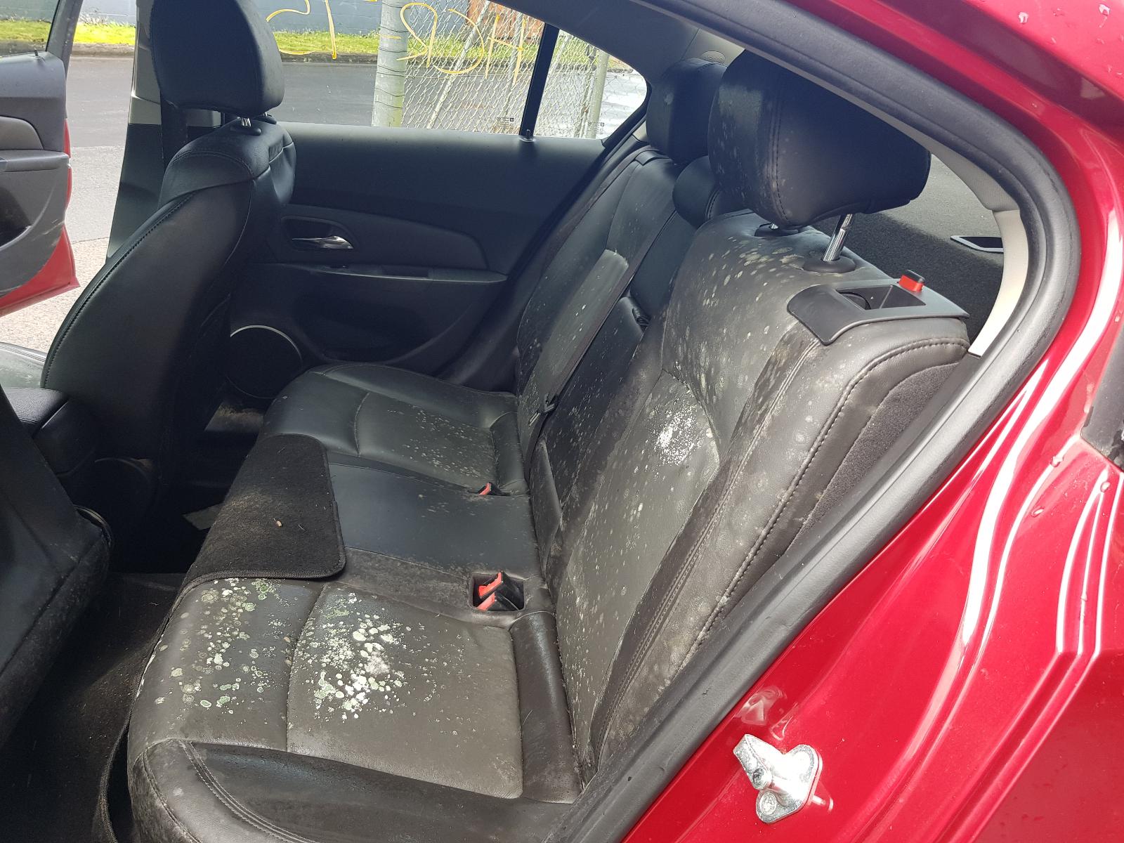 Holden Cruze - 2009-Present