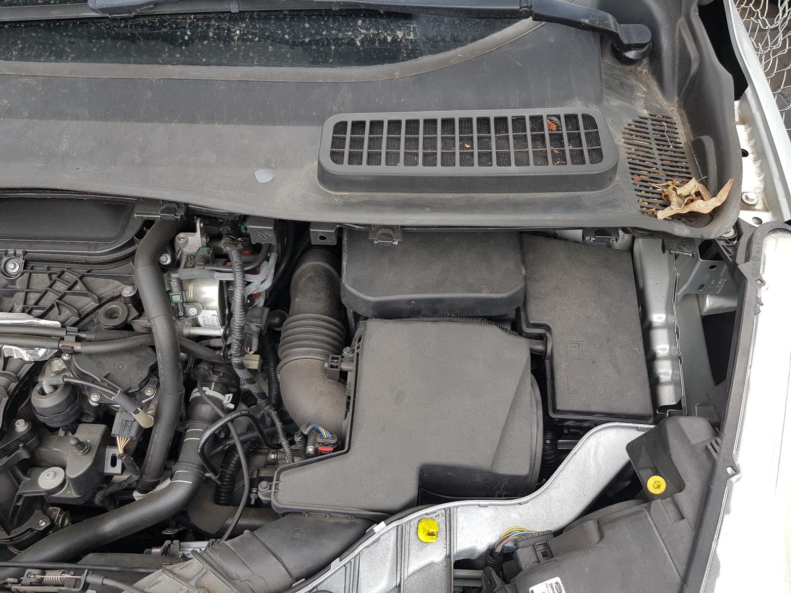 Ford Kuga - TF 2013-Present