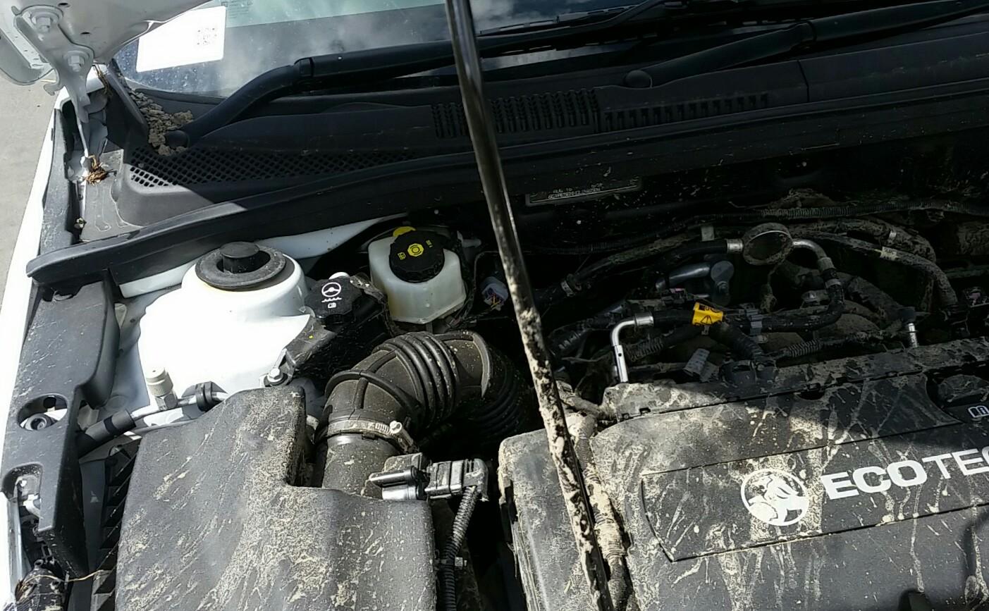 Holden Cruze - 2009-Present