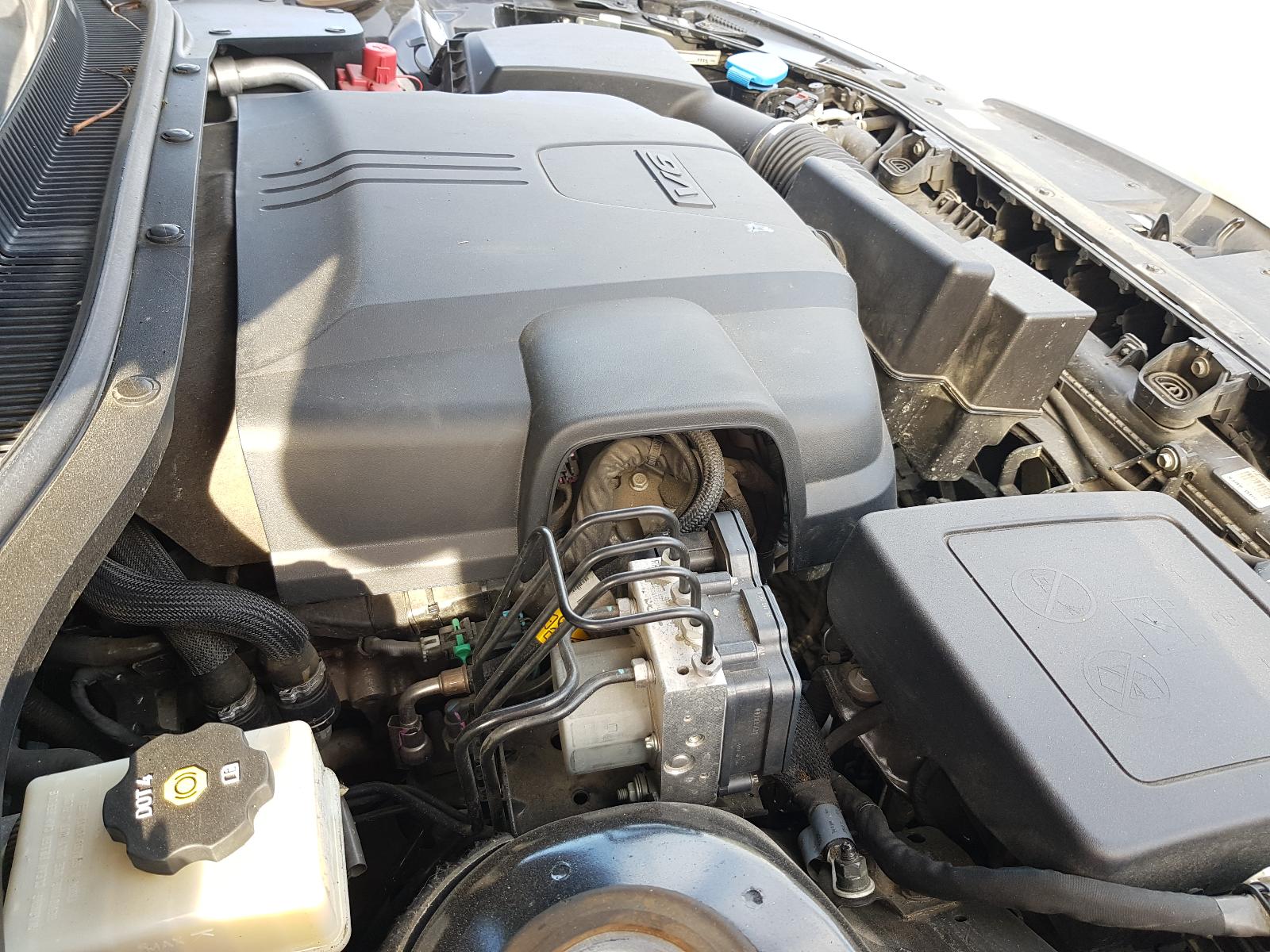 Holden Commodore - VF 2013-Present