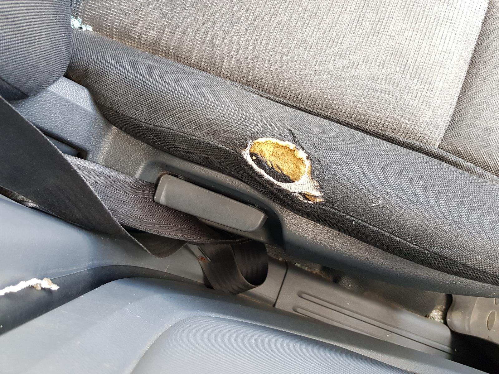 Ford Ranger - PX/PX2 2011-2017