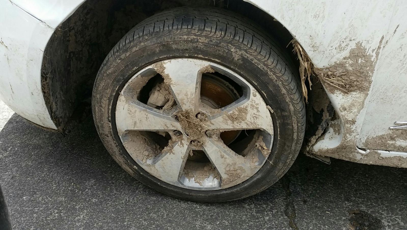 Holden Cruze - 2009-Present