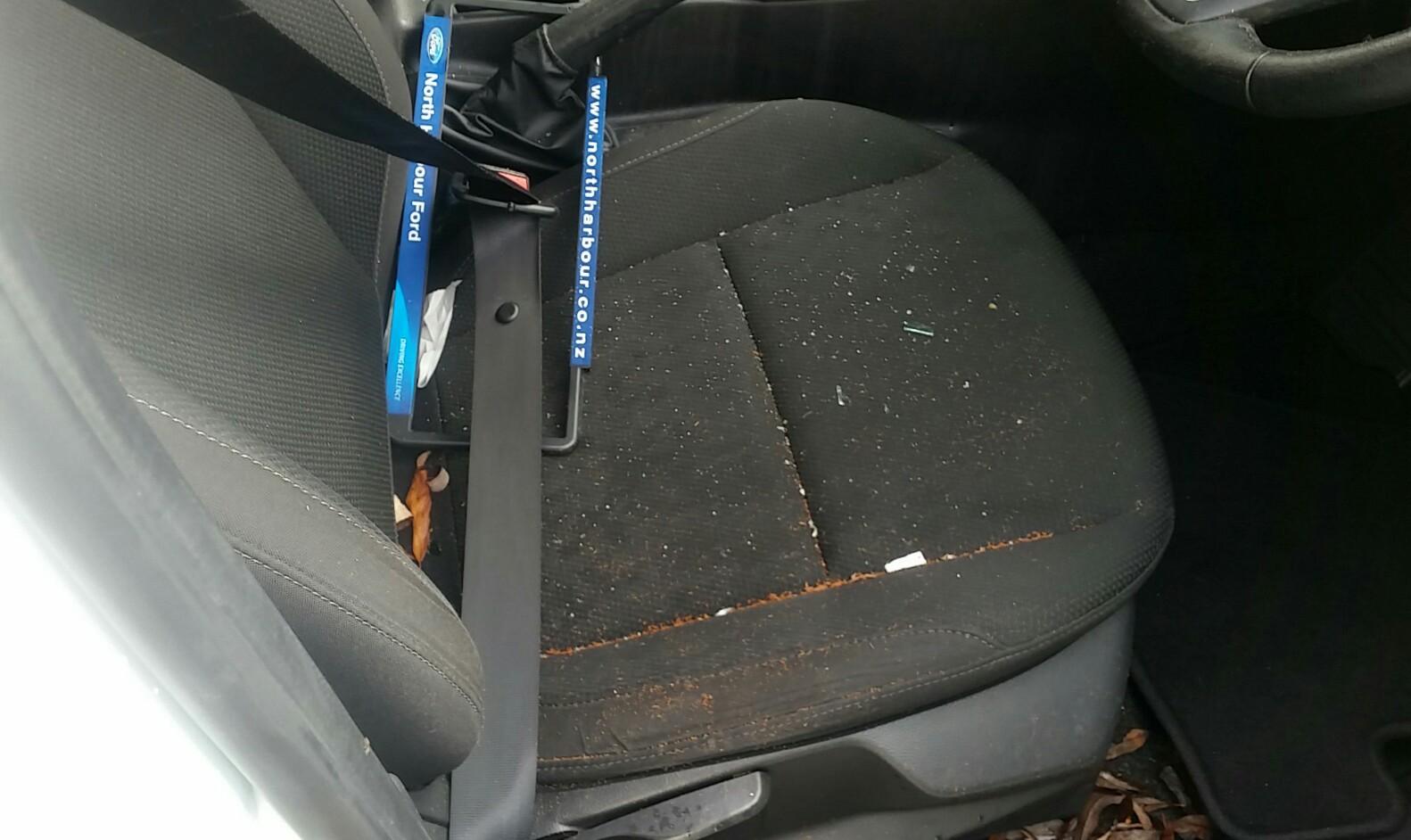 Ford Focus - LZ 2015-2017