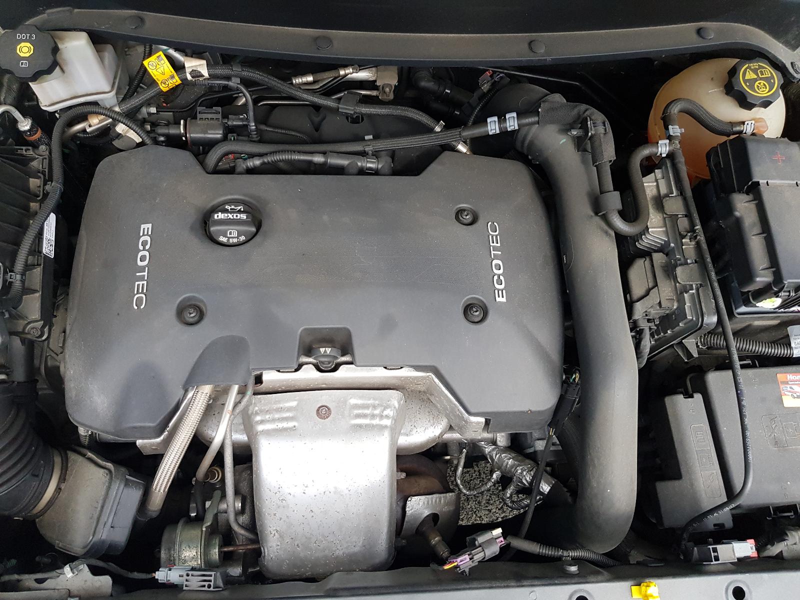 Holden Equipe - Other