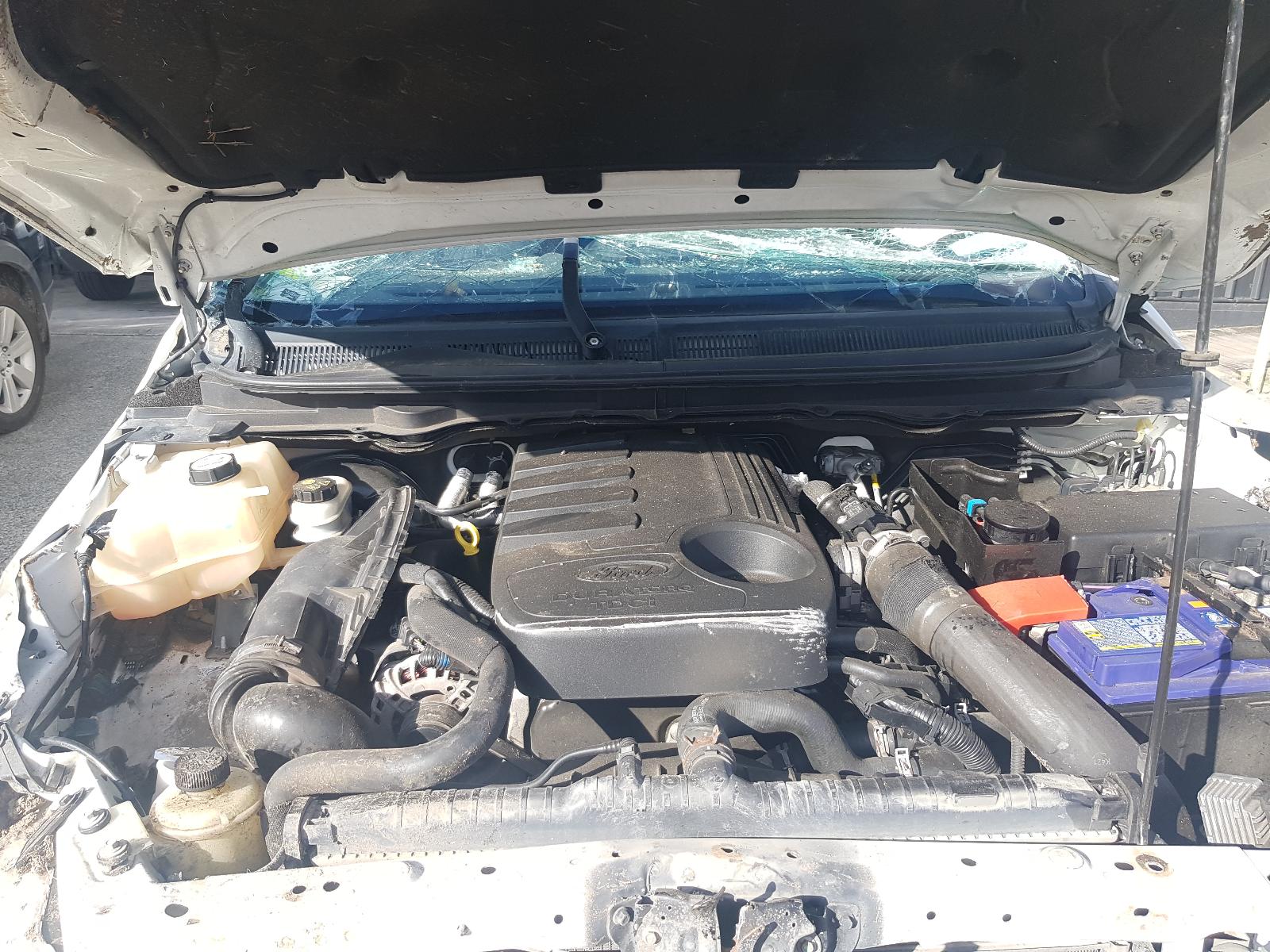 Ford Ranger - PX/PX2 2011-2017