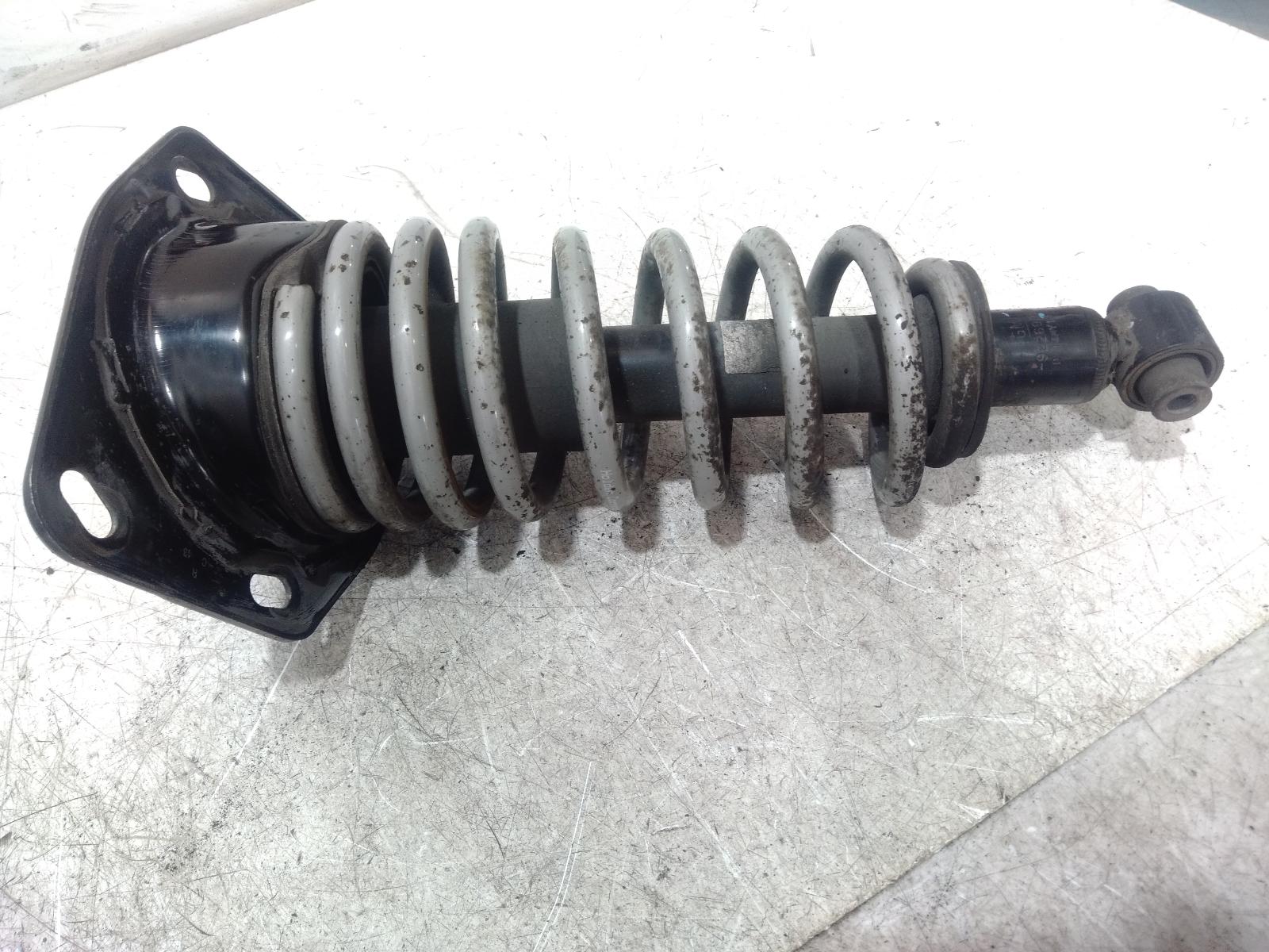 Right Rear Strut