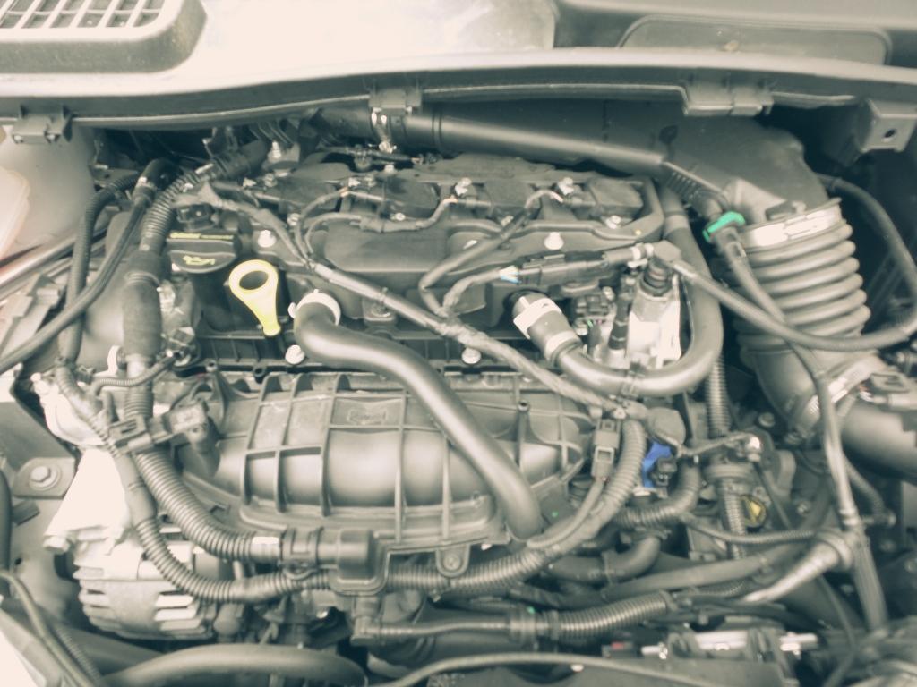 Ford Kuga - TF 2013-Present