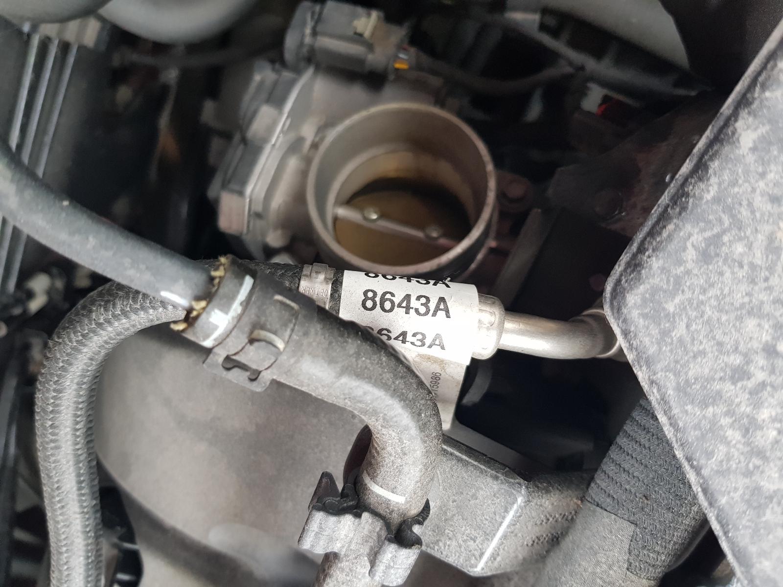 Holden Commodore - Other