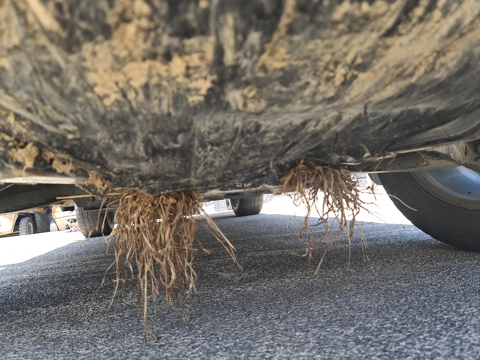 Holden Colorado - RG2 2016-Present