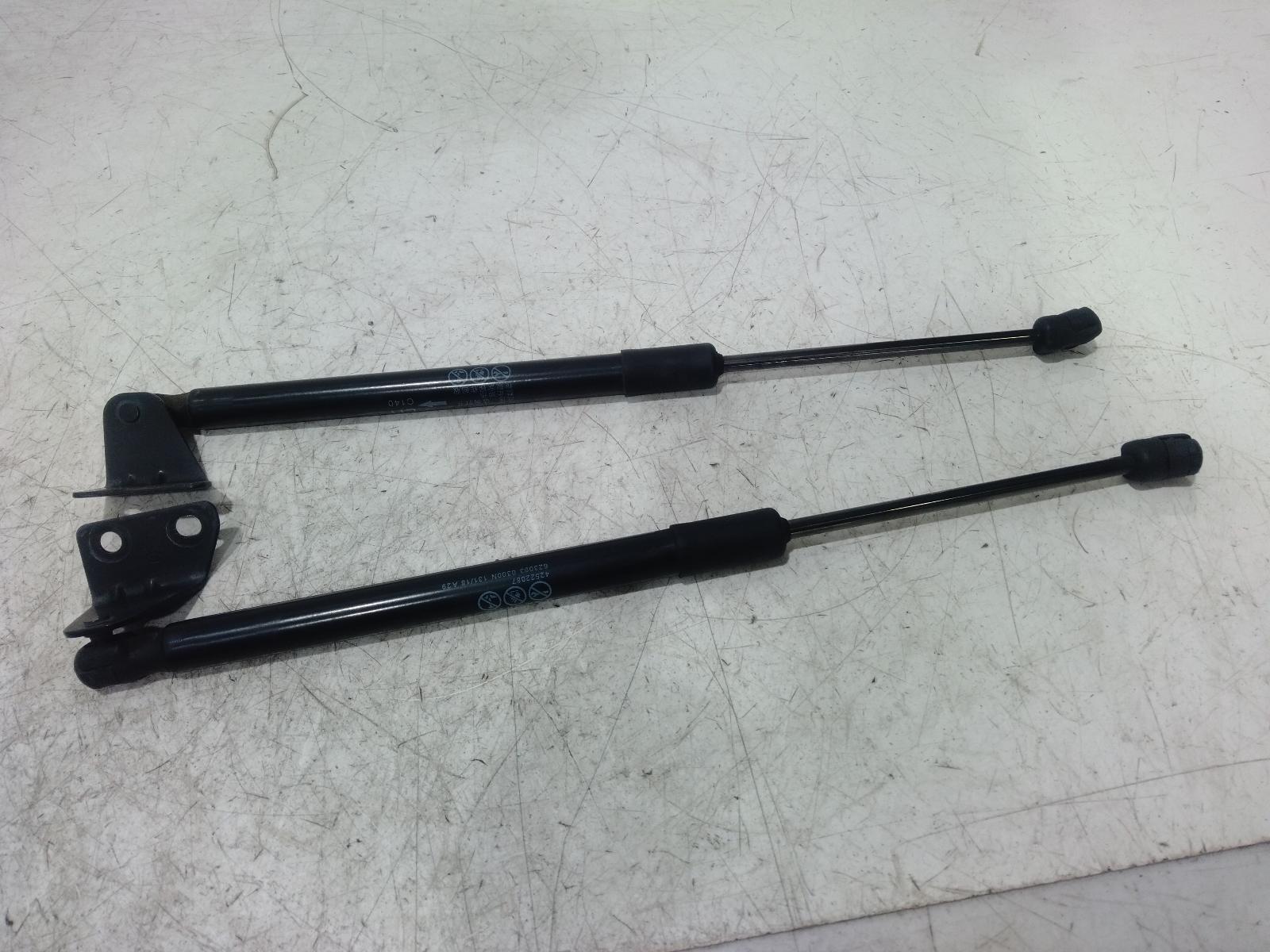 Bonnet_Hinge_Strut