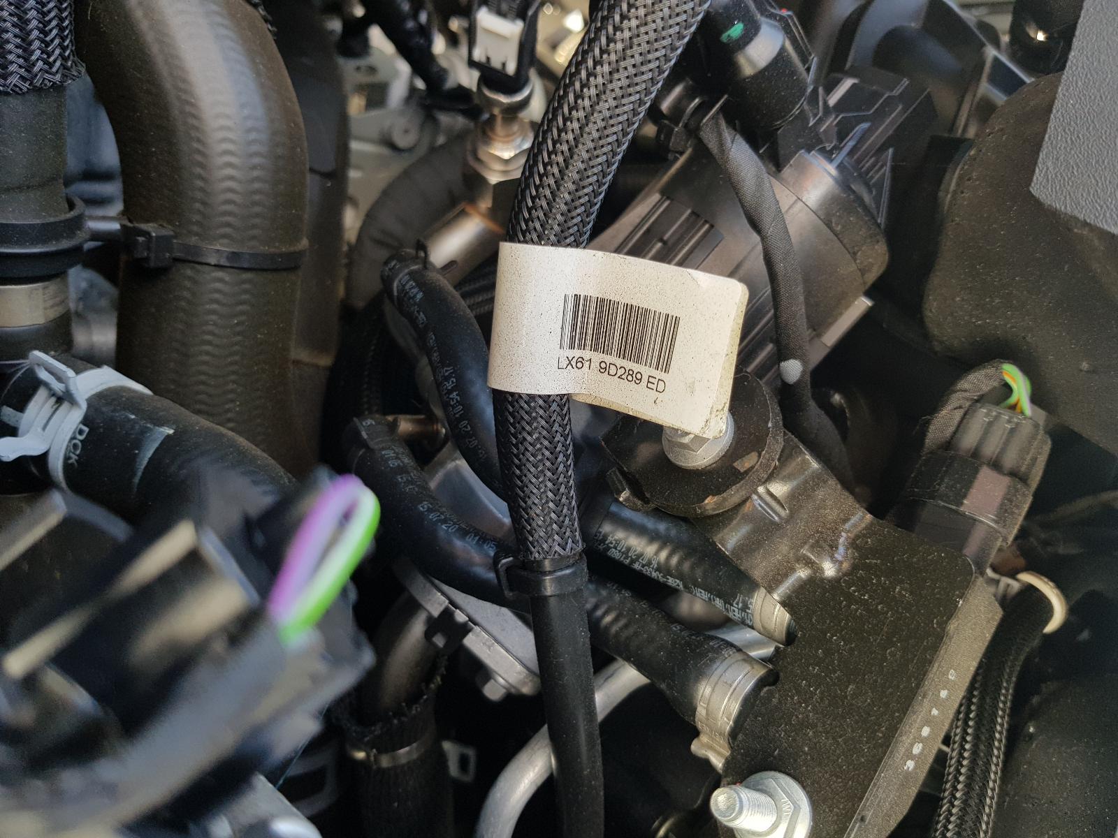 Ford Escape - LF 2007-Present