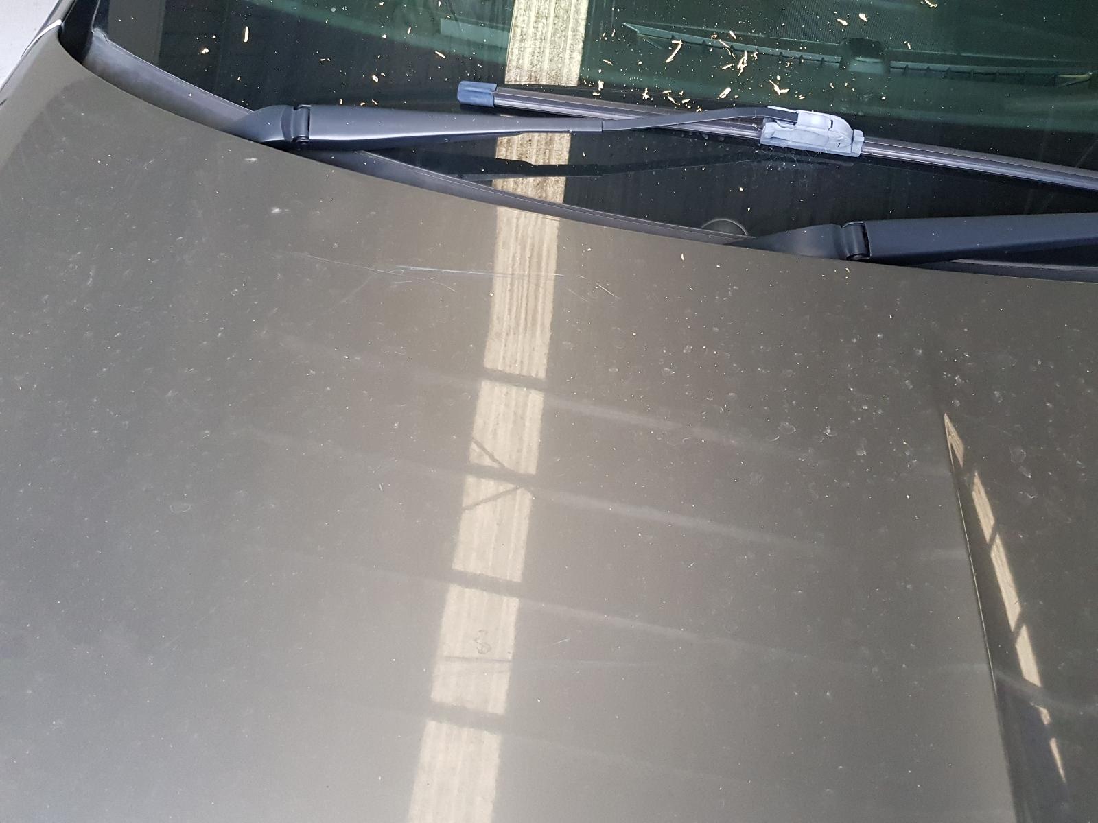 Holden Commodore - Other