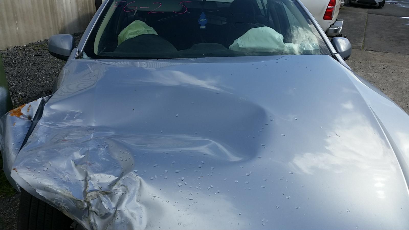 Ford Falcon - FG-FGX 2008-2016