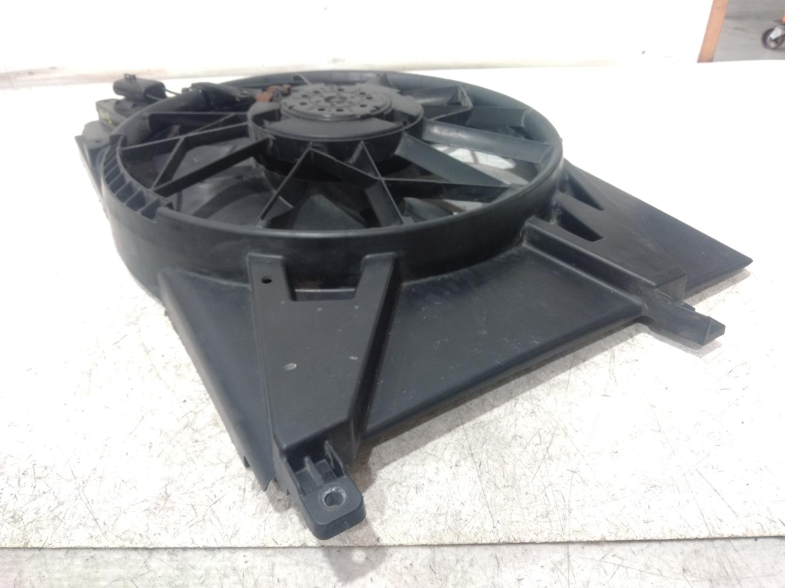 Fan