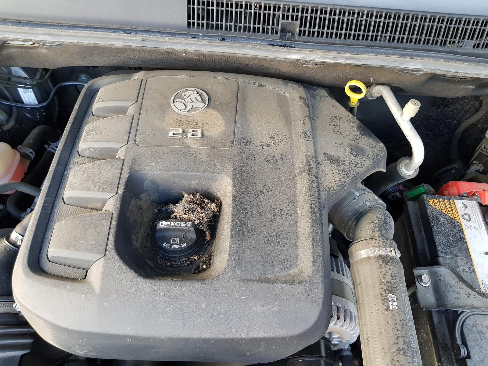 Holden Colorado - RG2 2016-Present