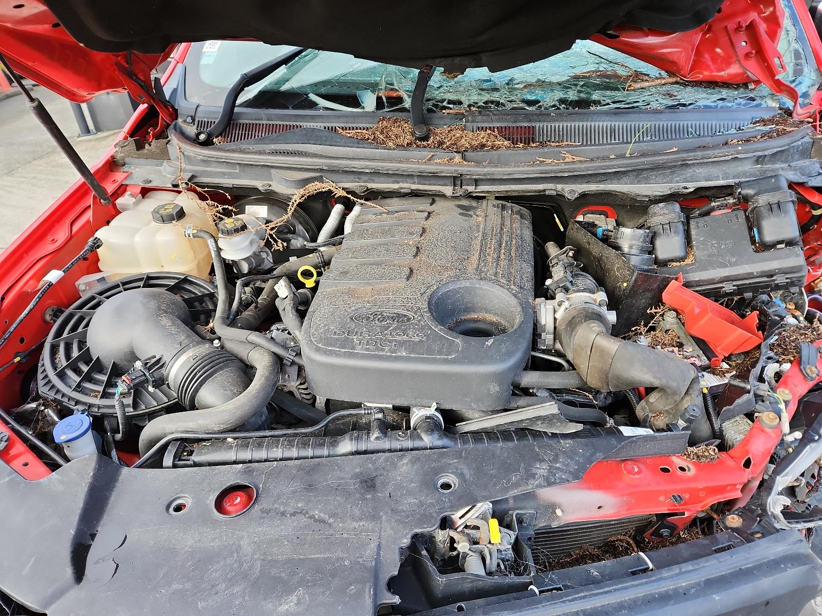 Ford Ranger - PX/PX2 2011-2017