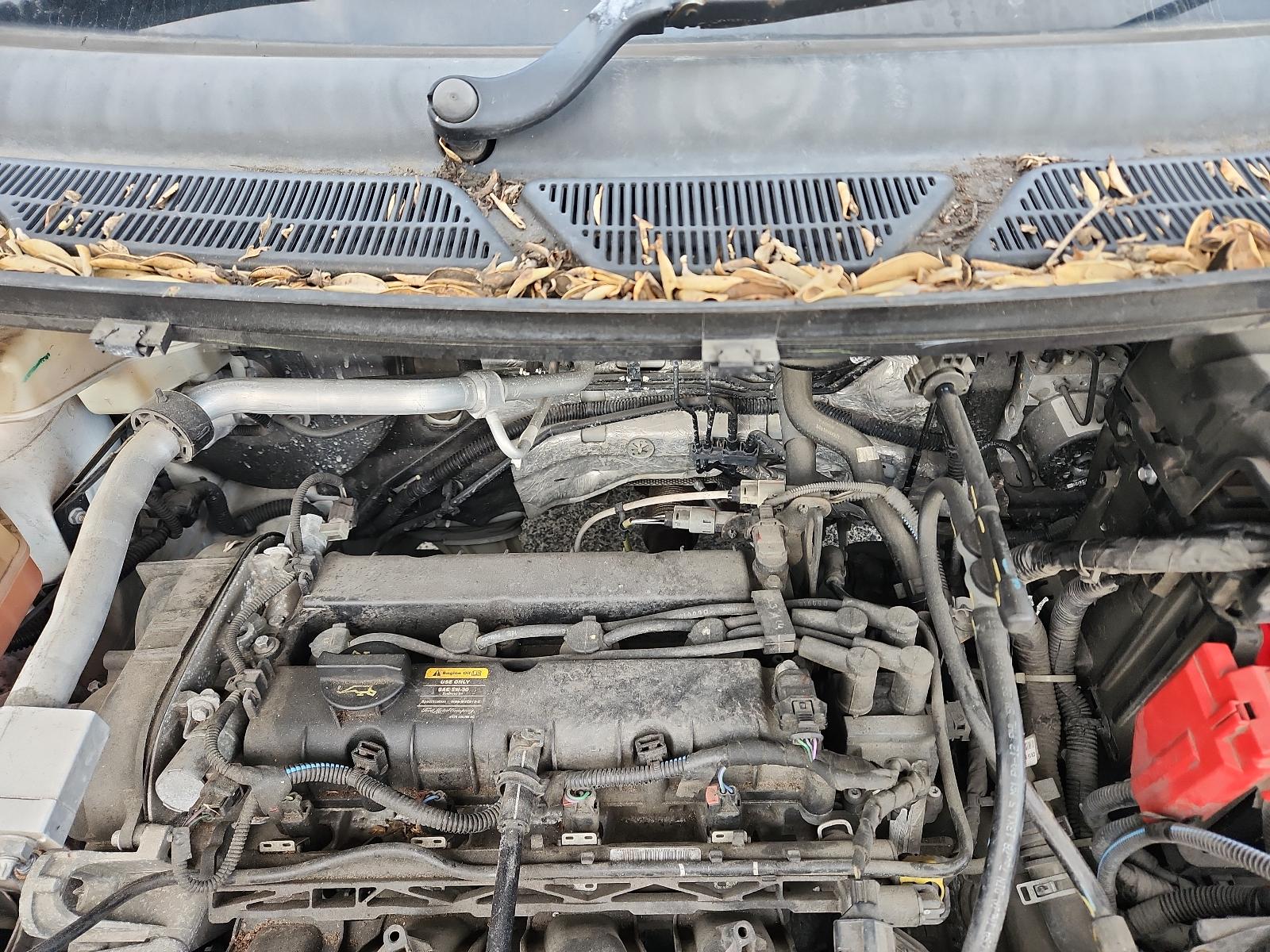 Ford EcoSport - BW 2013-present