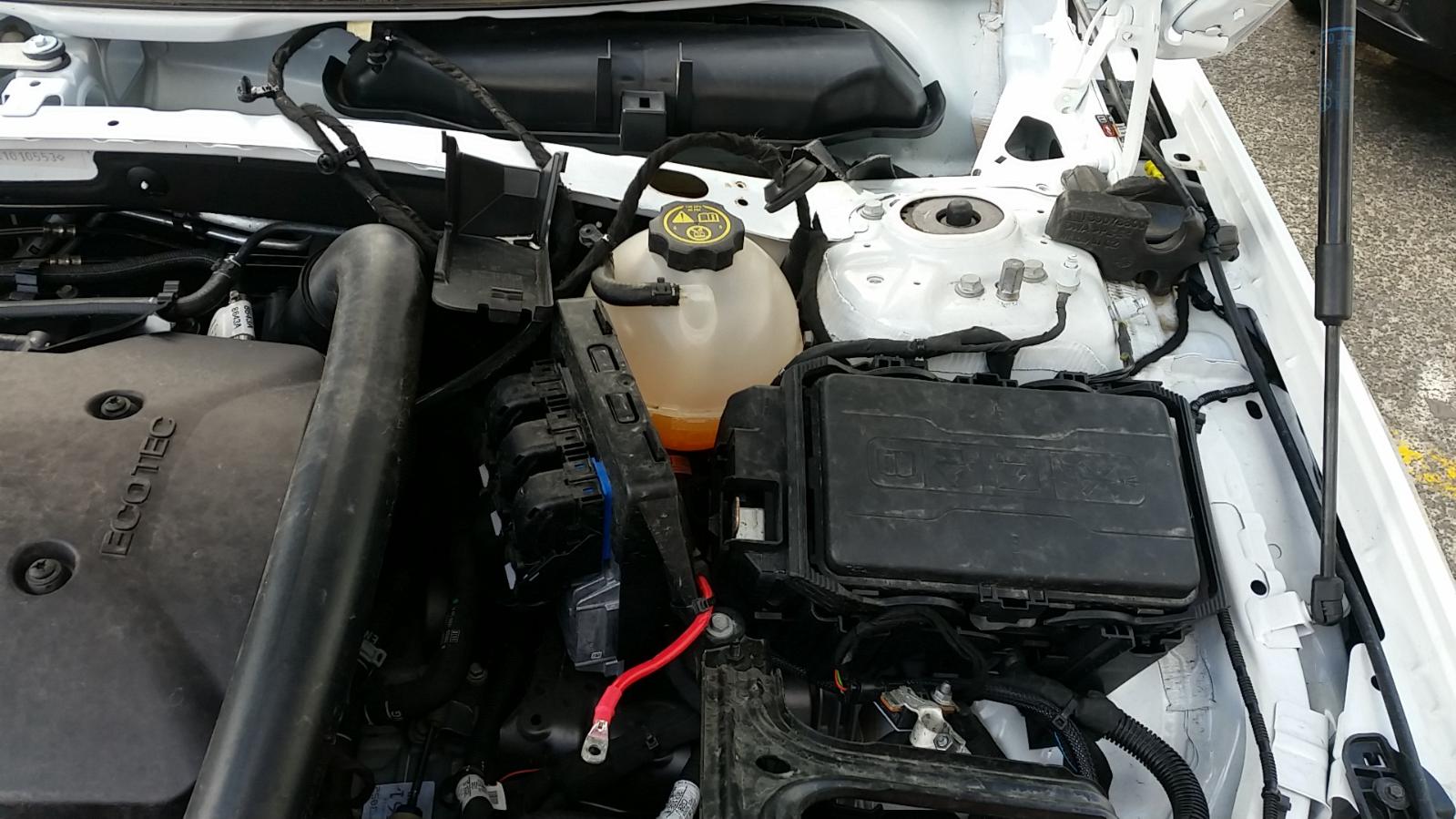 Holden Commodore - Other