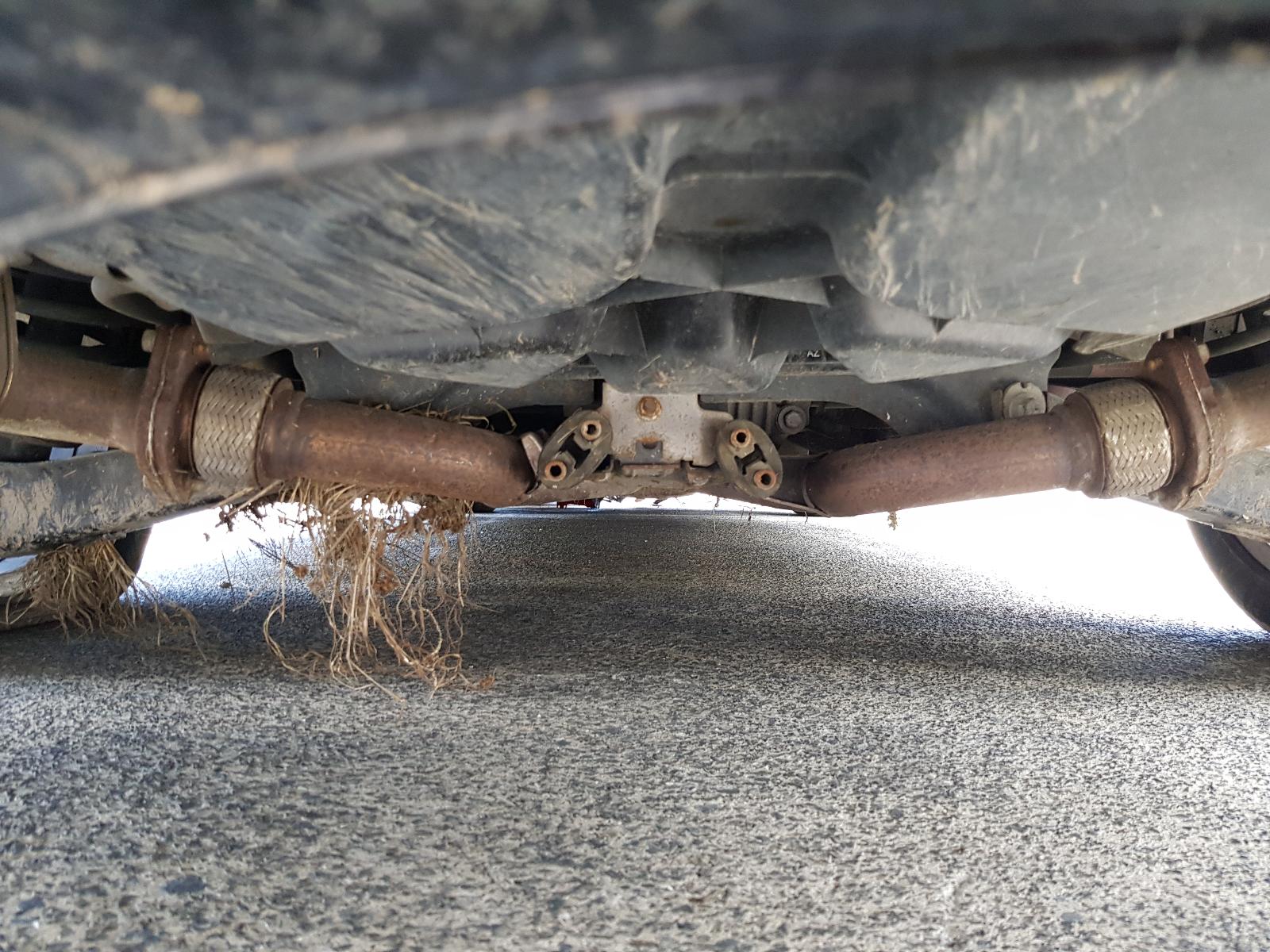 Holden Commodore - VF 2013-Present