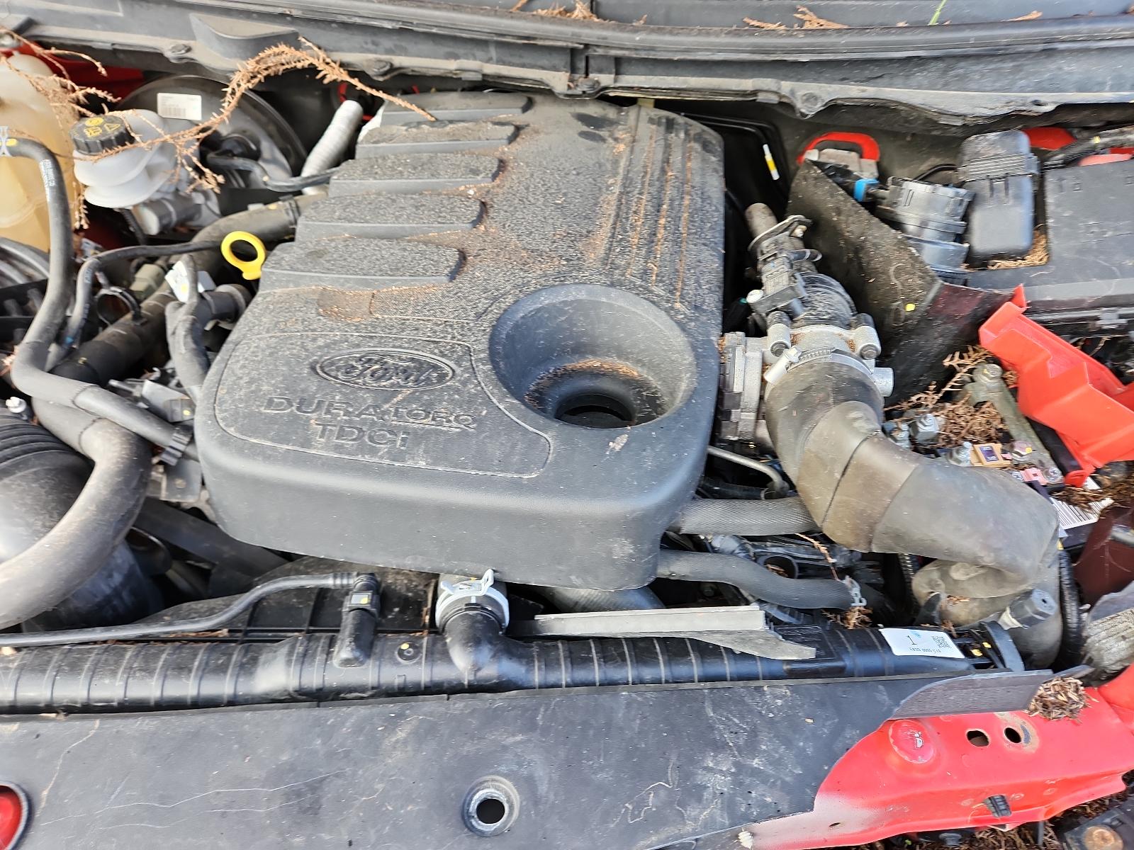 Ford Ranger - PX/PX2 2011-2017