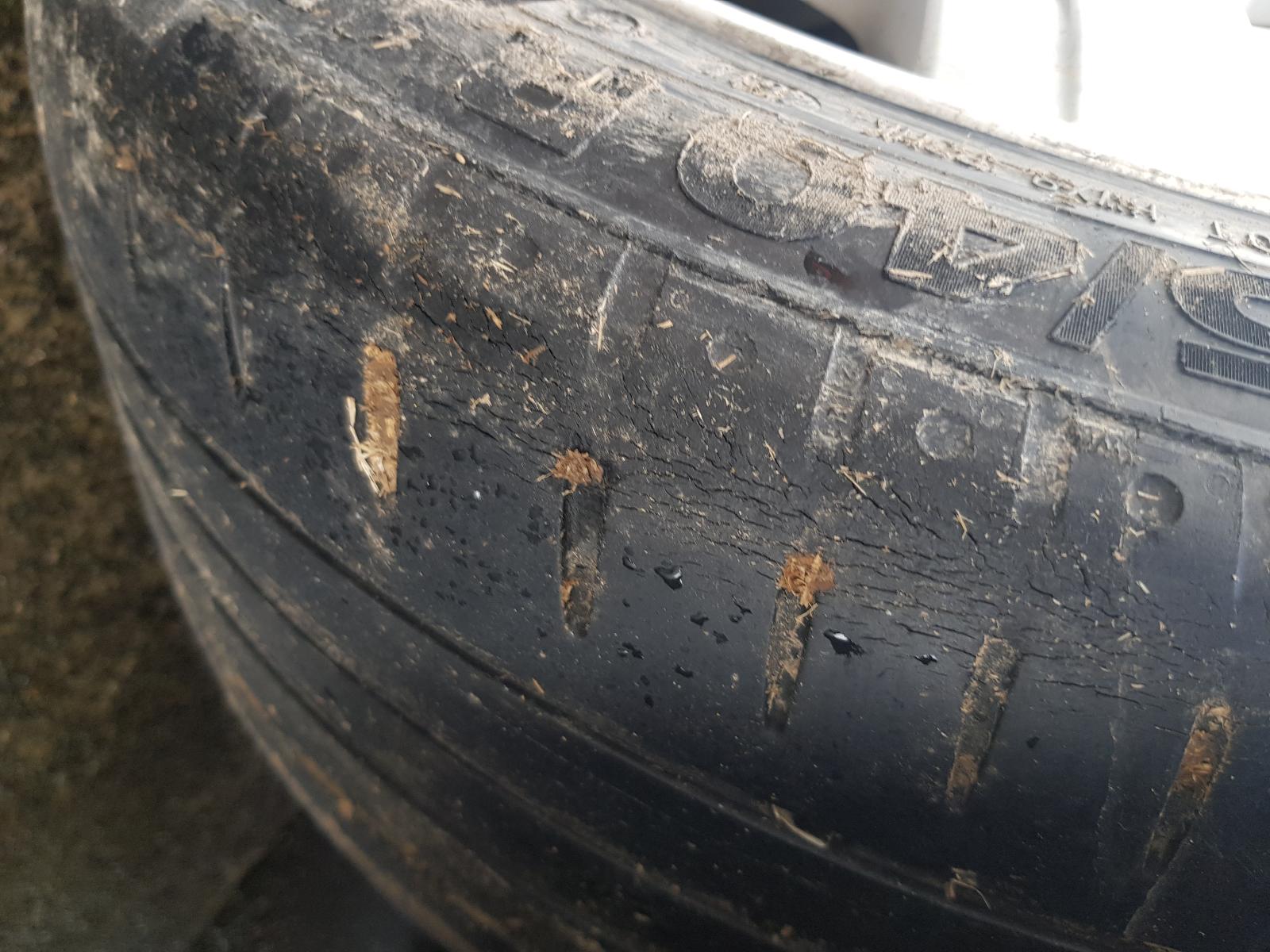 Bentley GT-GTC - 2003-2016