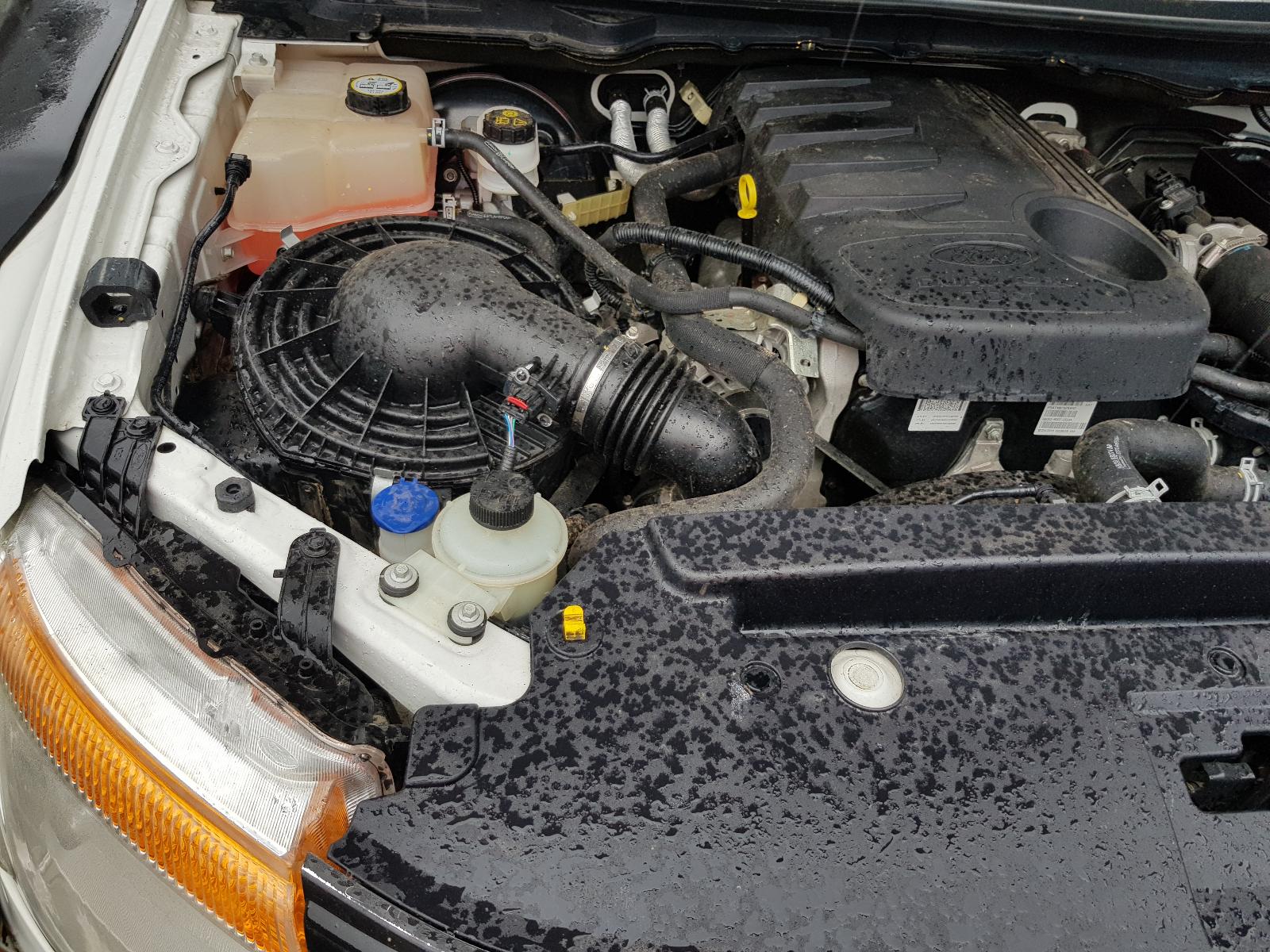 Ford Ranger - PX/PX2 2011-2017