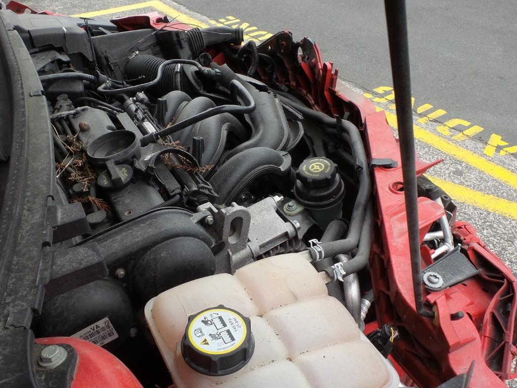 Ford Focus - LT-LV 2008-2011