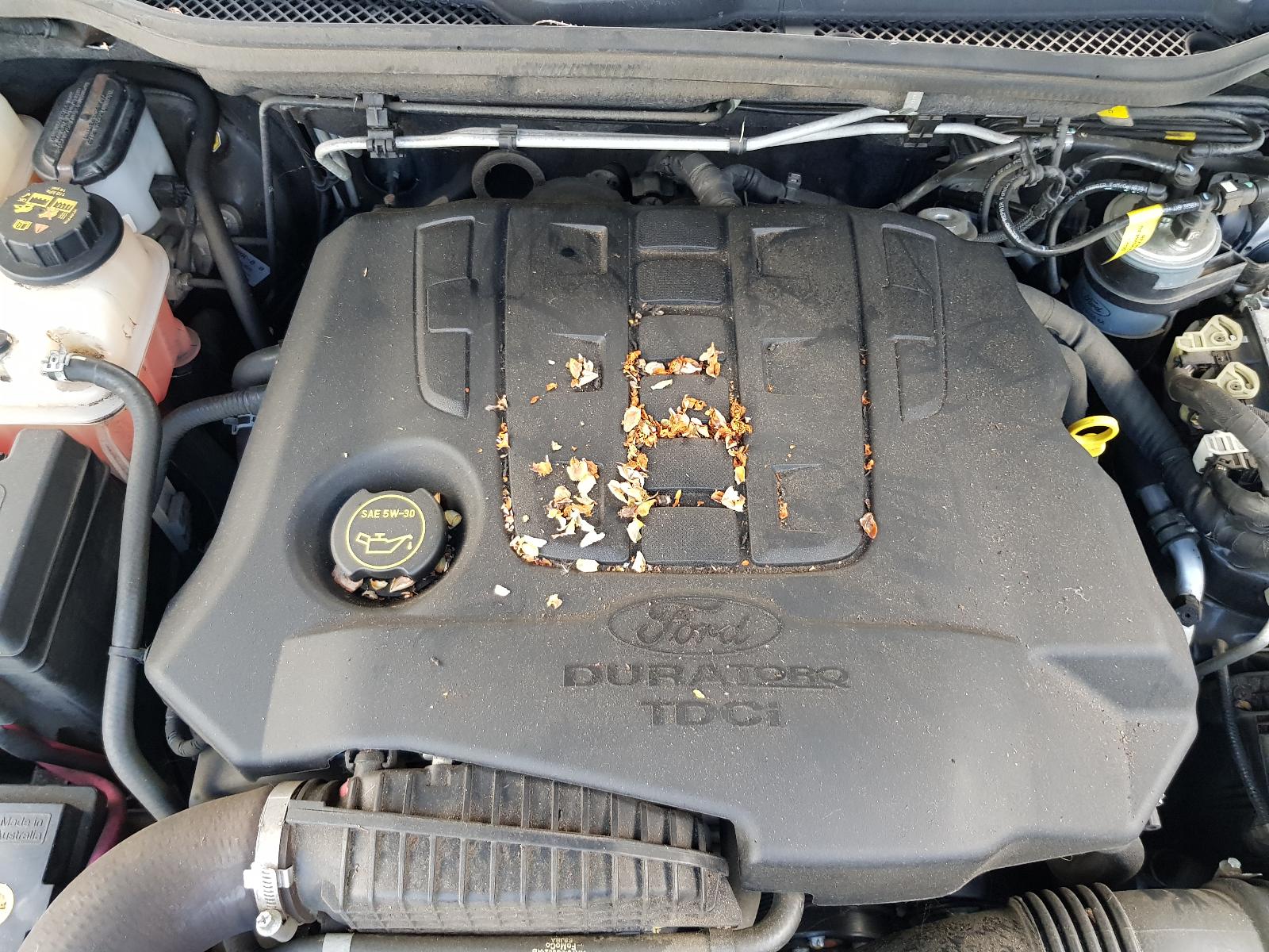 Ford Territory - SZ 2011-Present