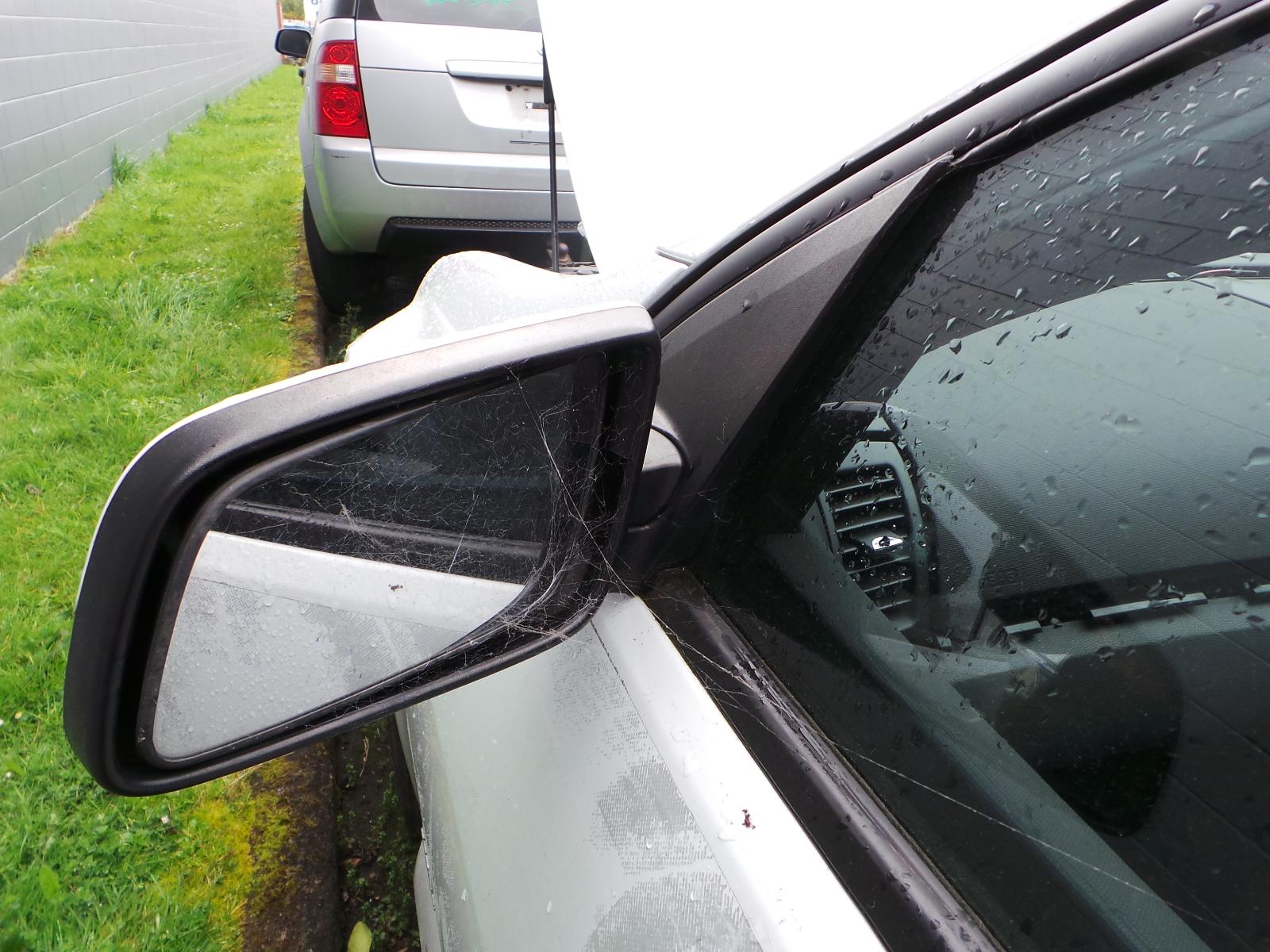 Holden Commodore - VE 2006-2013