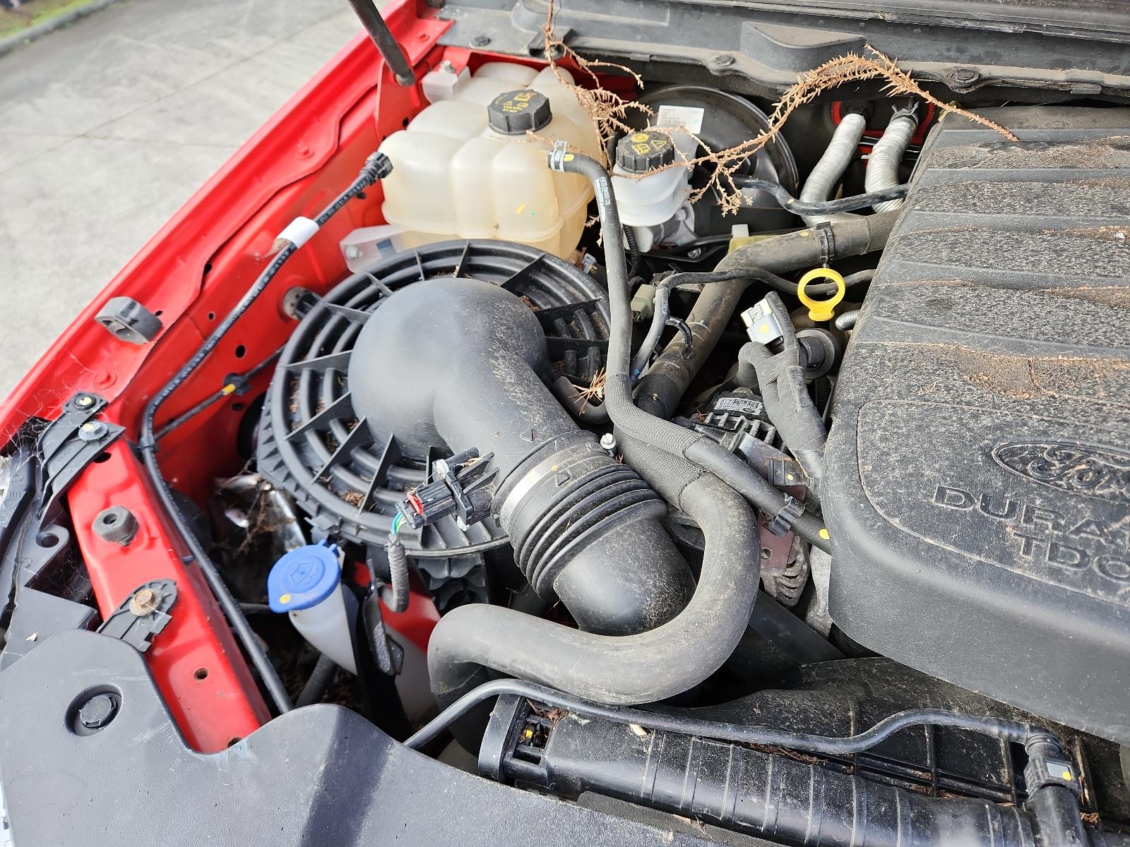 Ford Ranger - PX/PX2 2011-2017